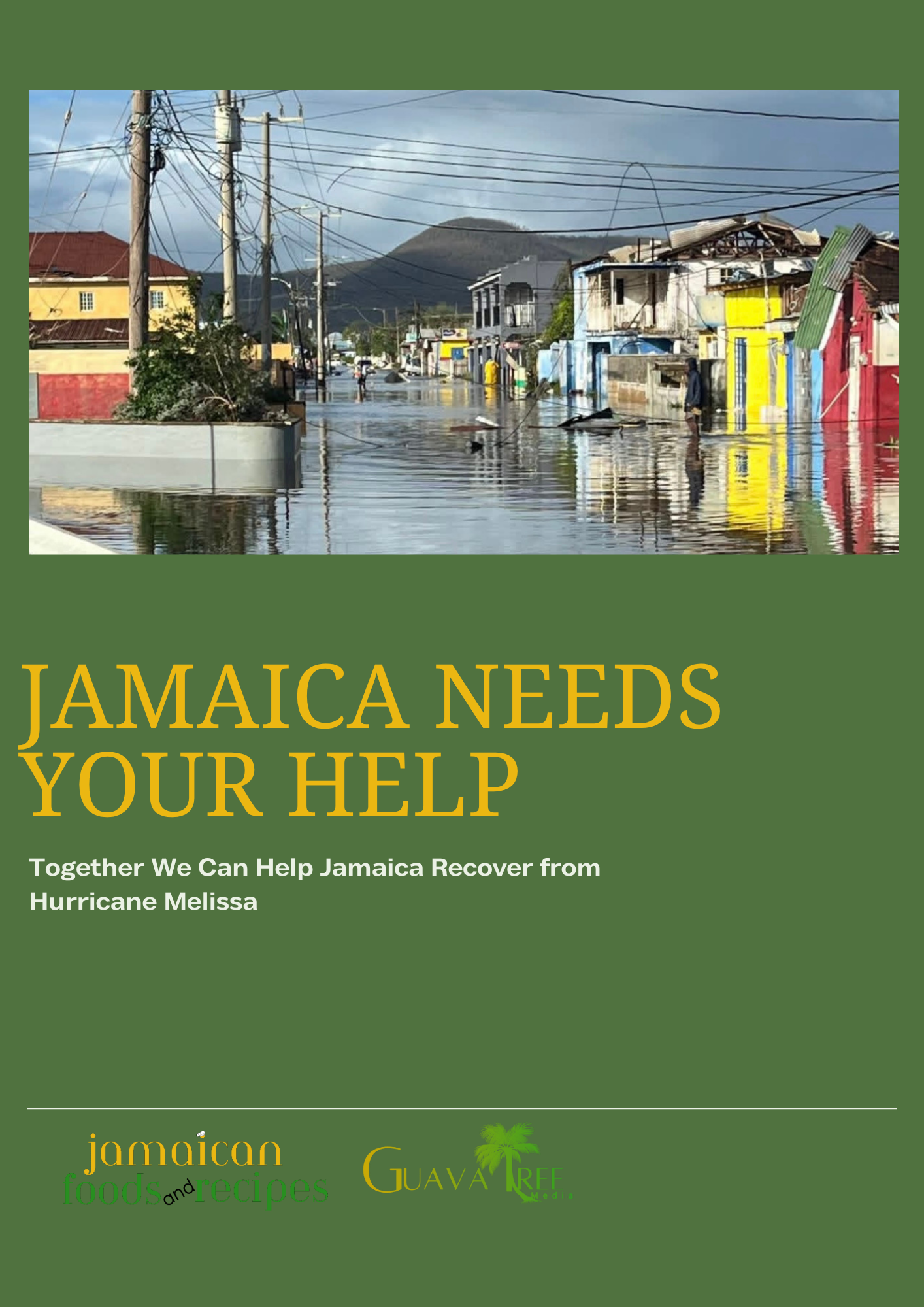 User-uploaded image 1