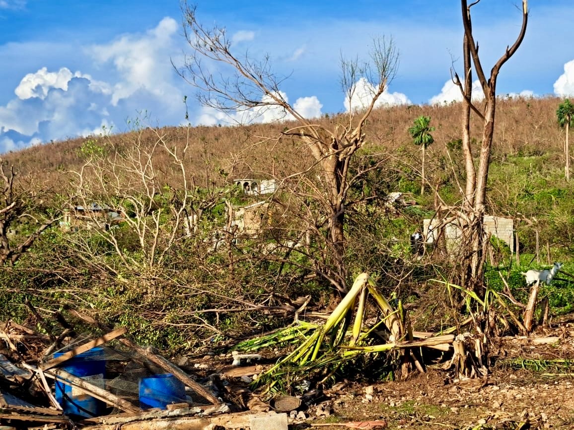 Support Nigel's Family After Hurricane Melissa campaign photo, 4 of 8