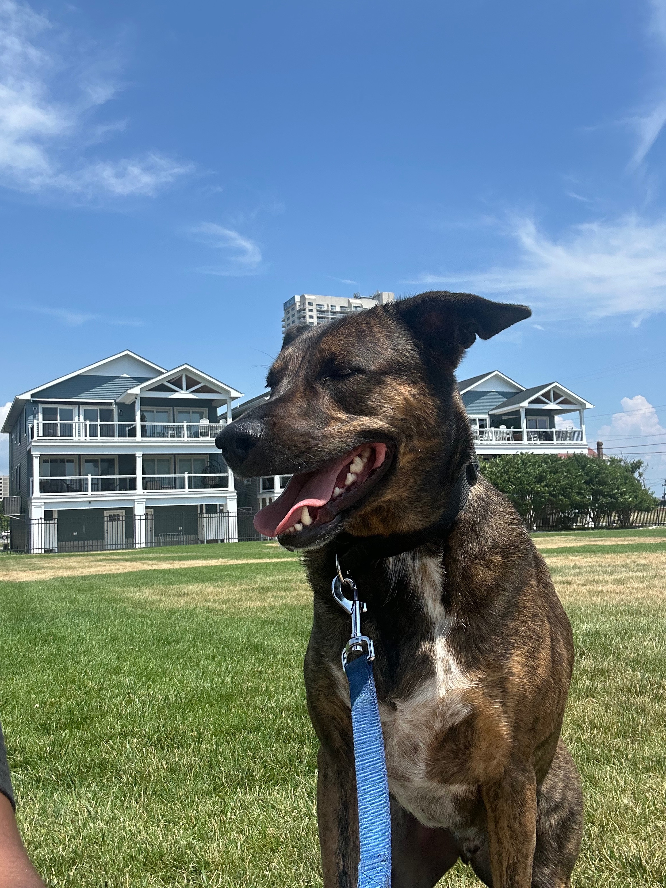 Please Help Dirk Get Life-Saving Surgery campaign photo, 2 of 6
