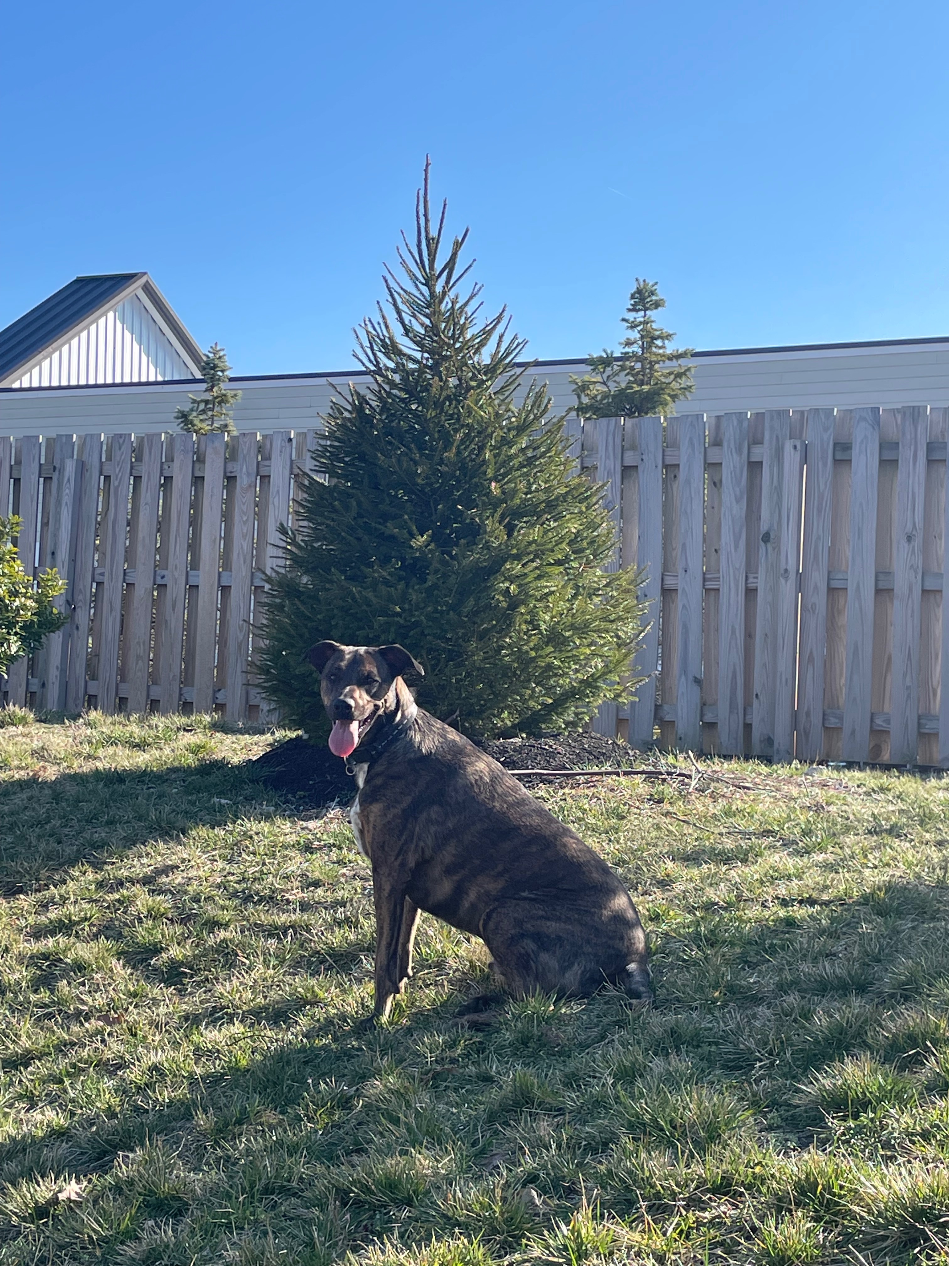 Please Help Dirk Get Life-Saving Surgery campaign photo, 4 of 6