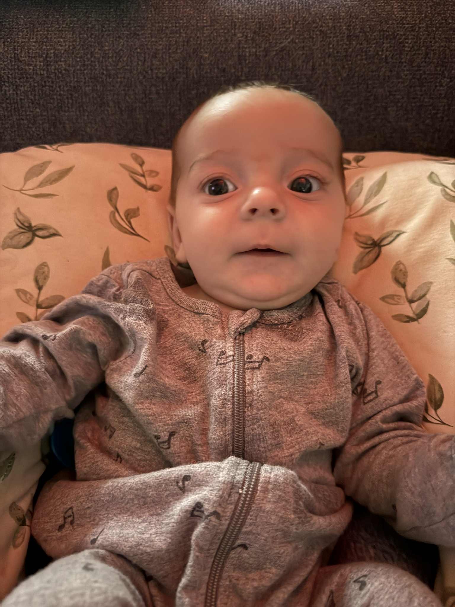 Donate to Bring Our Baby Back Home campaign photo, 6 of 8