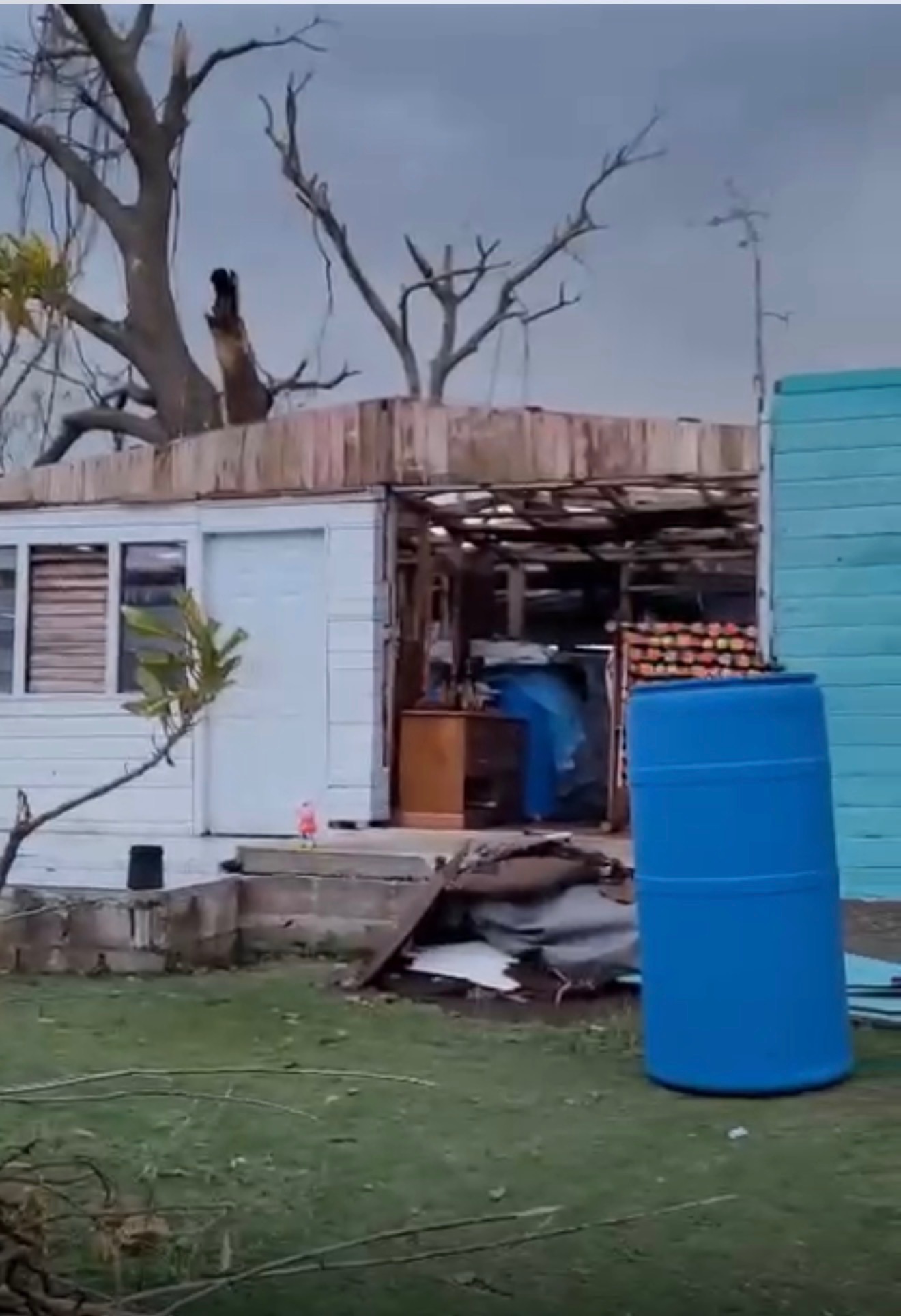 Help Latoya’s Family in Jamaica Rebuild after Hurricane. campaign photo, 2 of 6
