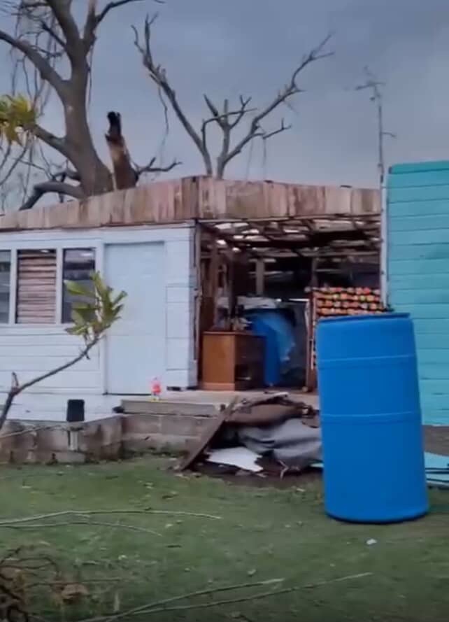 Help Shantoy's Family Rebuild After Hurricane campaign photo, 5 of 7