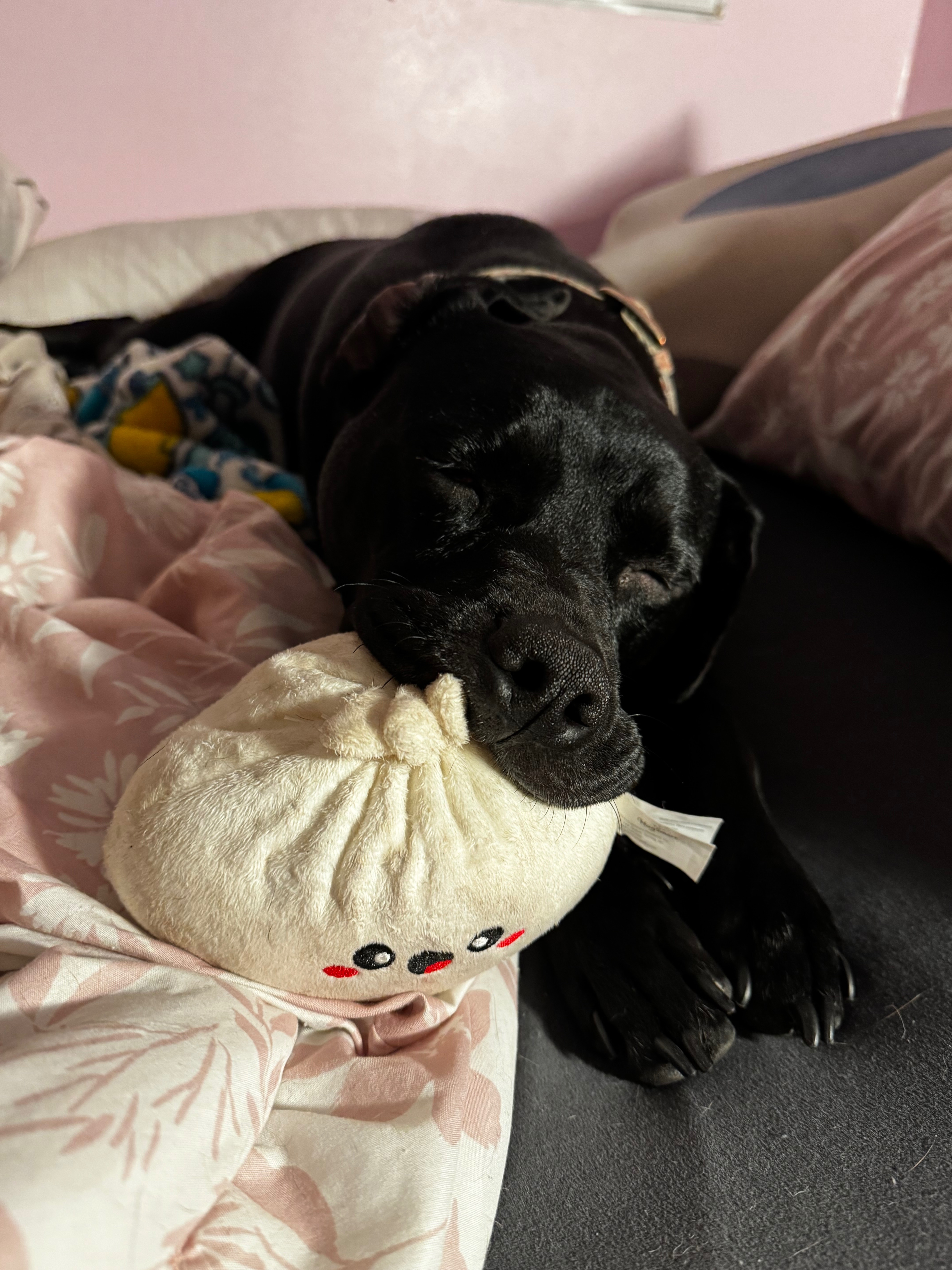 Support Fibi's Healing Journey campaign photo, 5 of 8