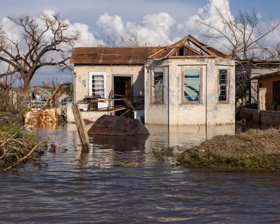 Aid for New Market, St. Elizabeth – Hurricane Melissa Relief campaign photo, 2 of 6