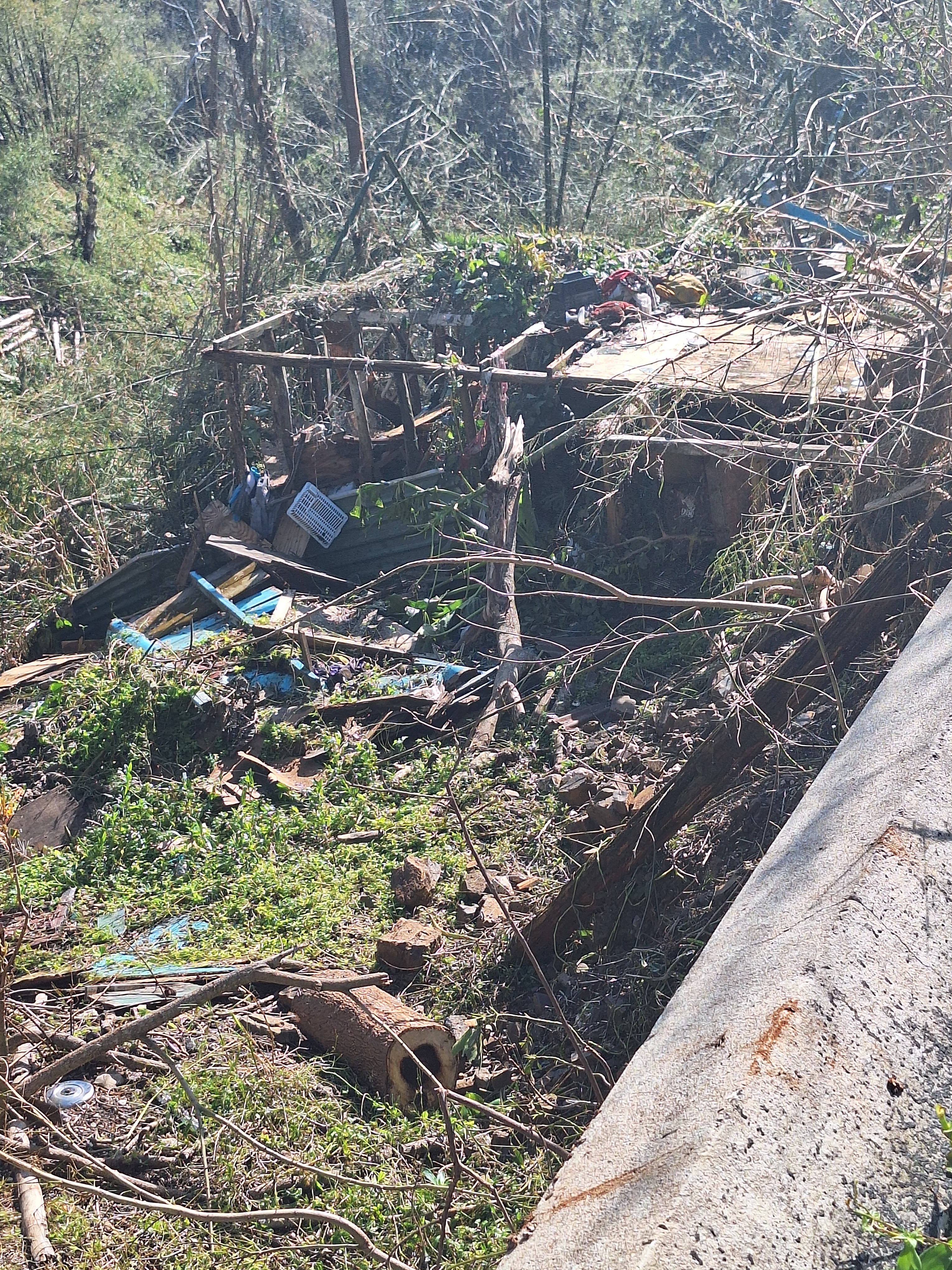 Support Uton Hill's Jamaican Parish After Hurricane campaign photo, 2 of 8