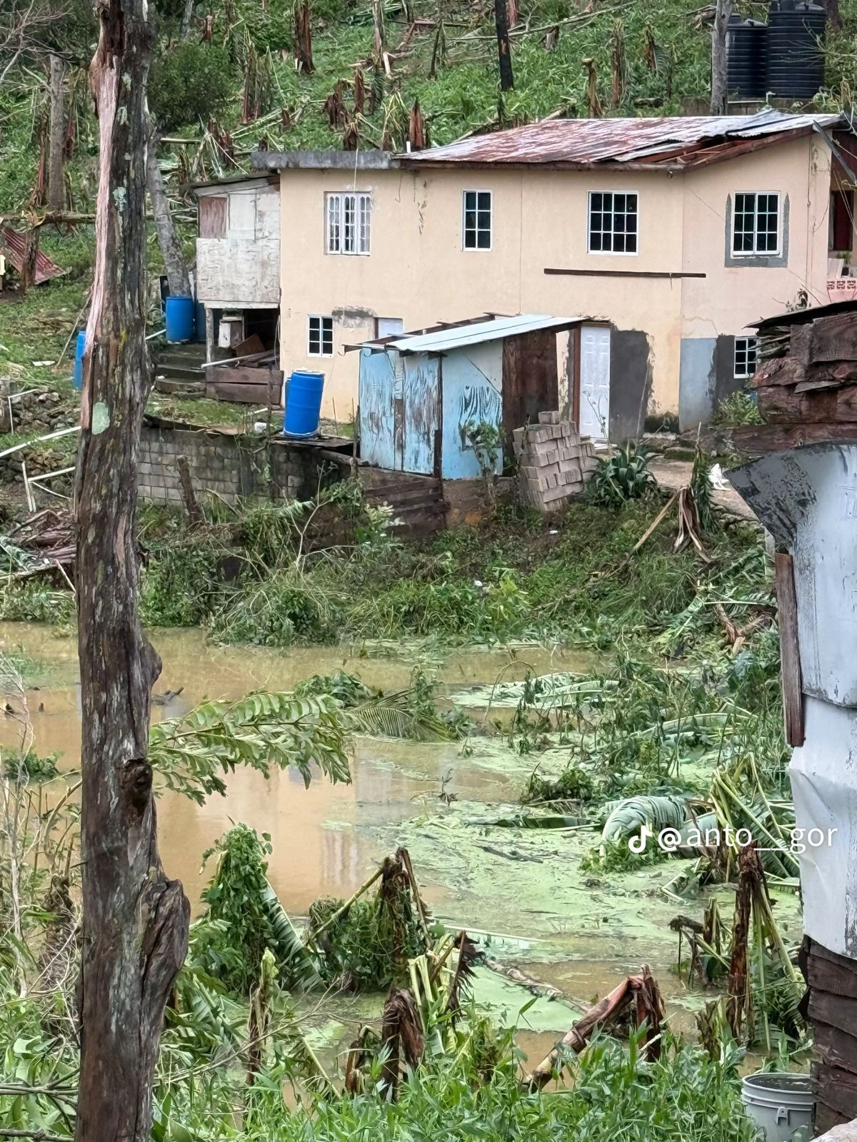 Help Southern Trelawny Rebuild After Hurricane Melissa campaign photo, 5 of 6