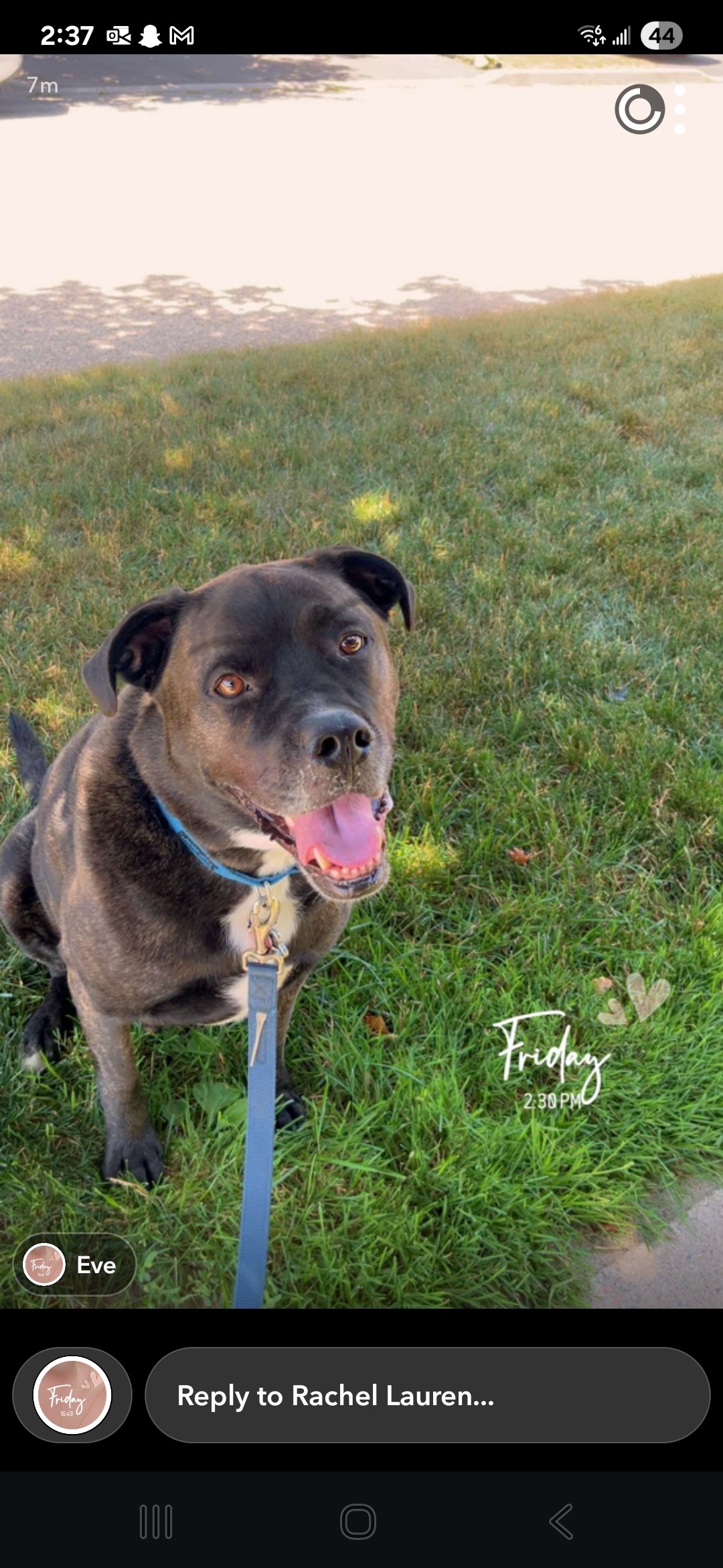 Tyson has lymphoma and needs help campaign photo, 5 of 5