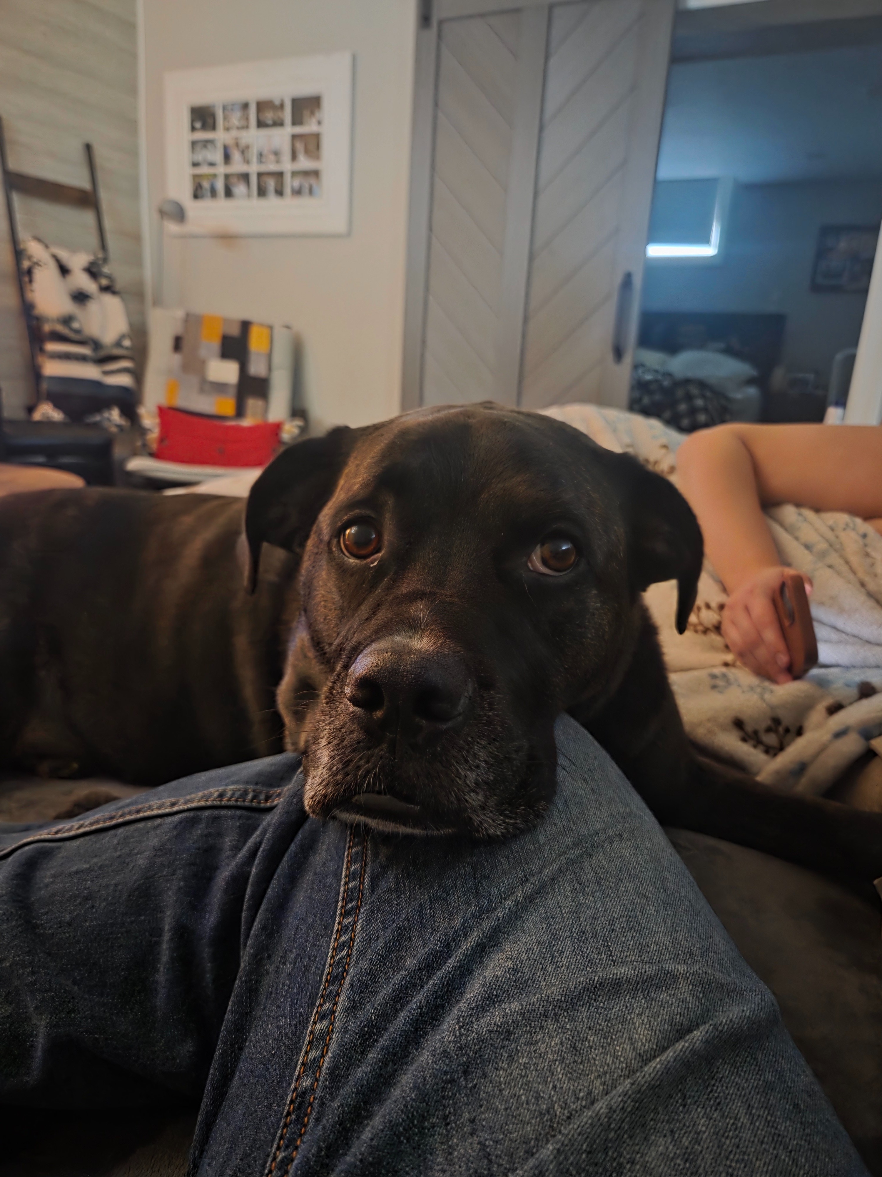 Tyson has lymphoma and needs help campaign photo, 2 of 5