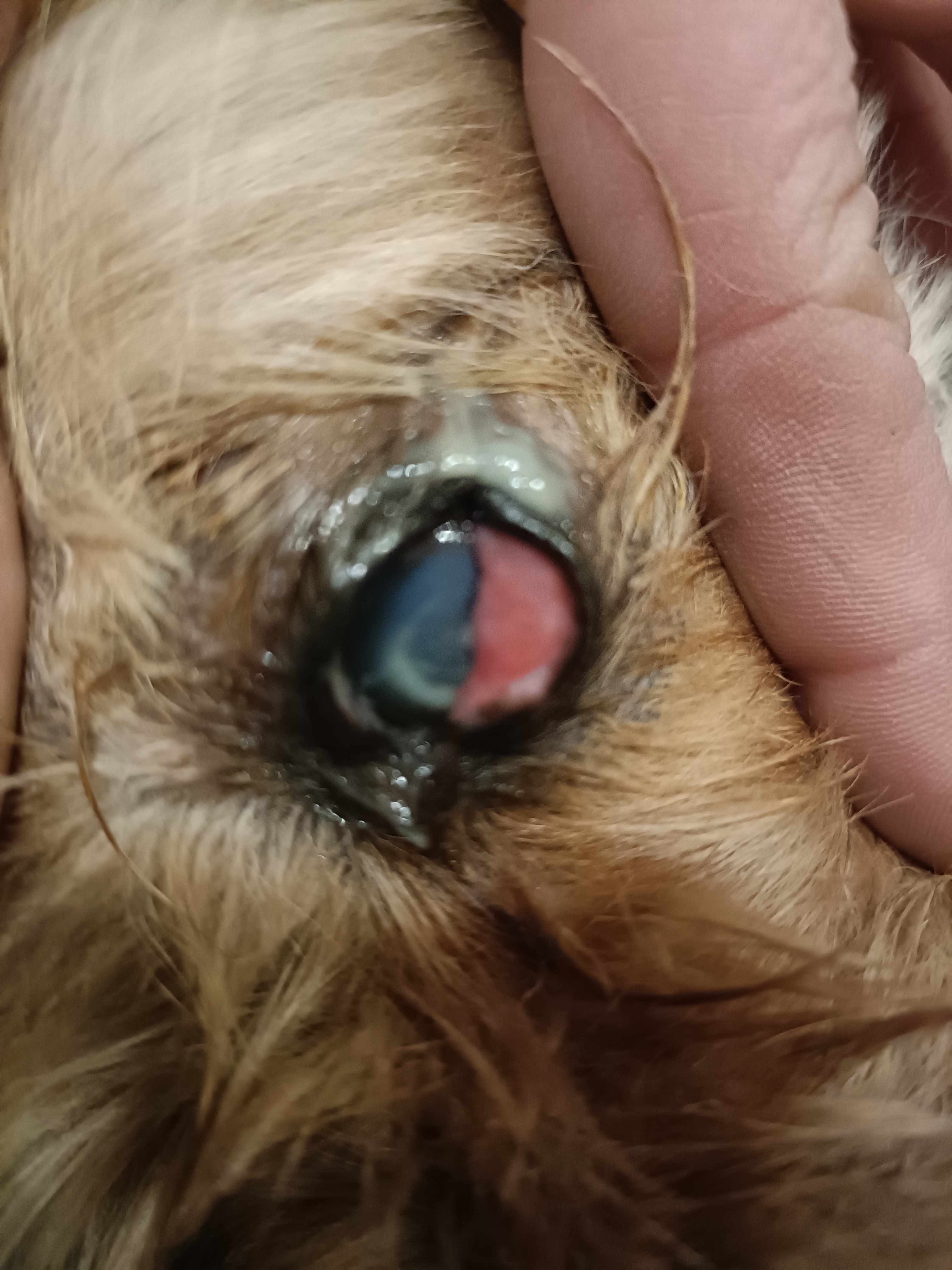 User-uploaded image 1