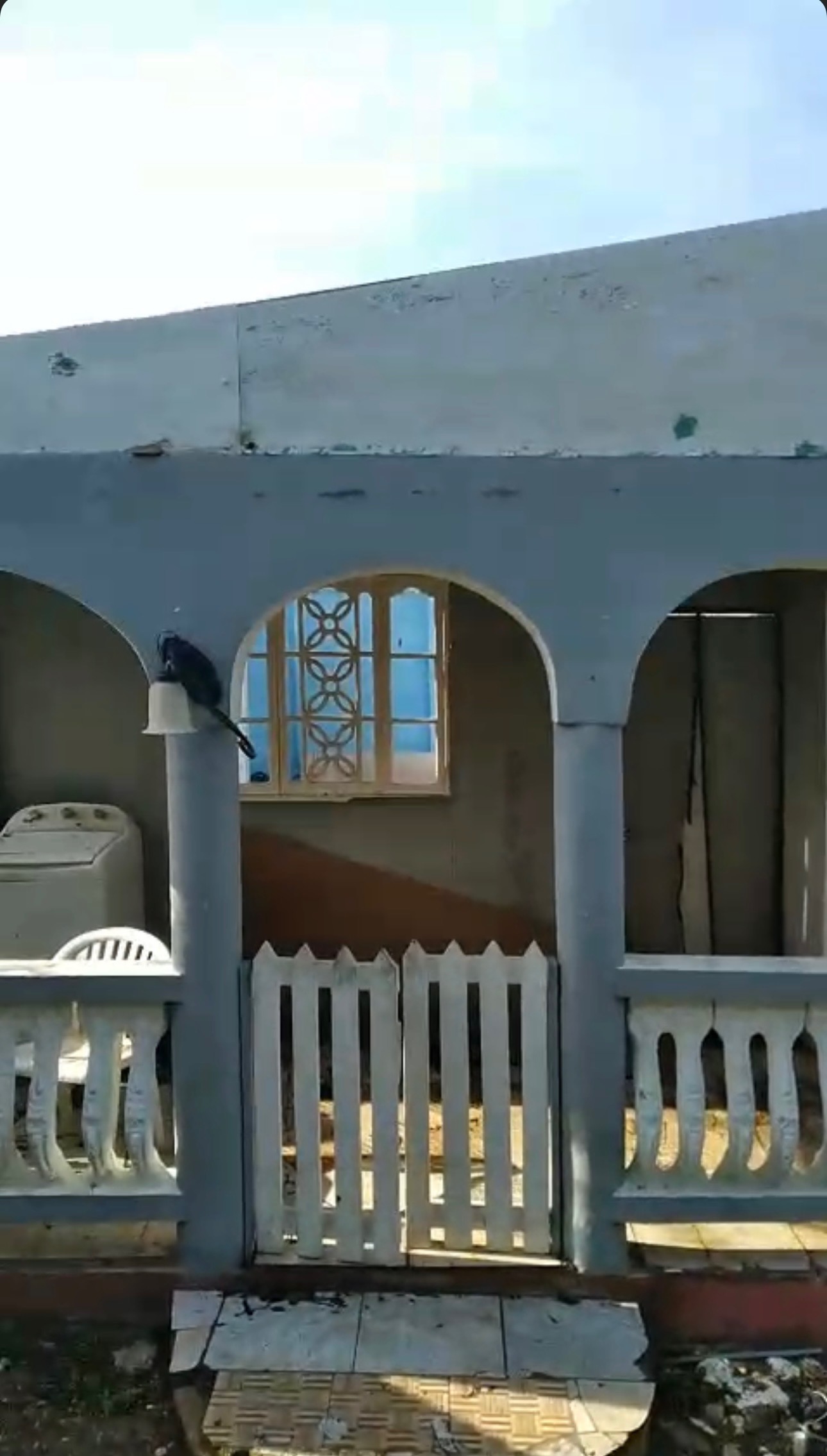 Help Willard Rebuild After Hurricane Melissa campaign photo, 6 of 7