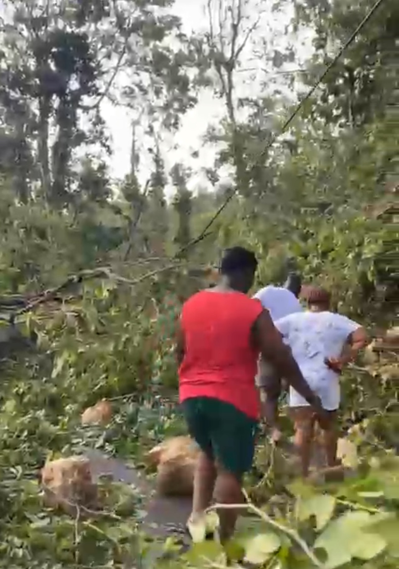 Support Sam Shaw's Family After Hurricane Melissa campaign photo, 4 of 5