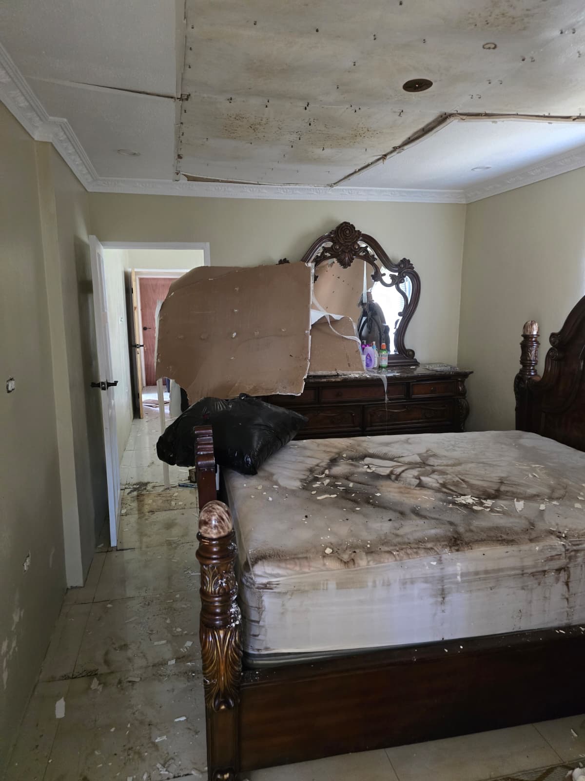 Support Jamaican Families After Hurricane Melissa campaign photo, 2 of 7