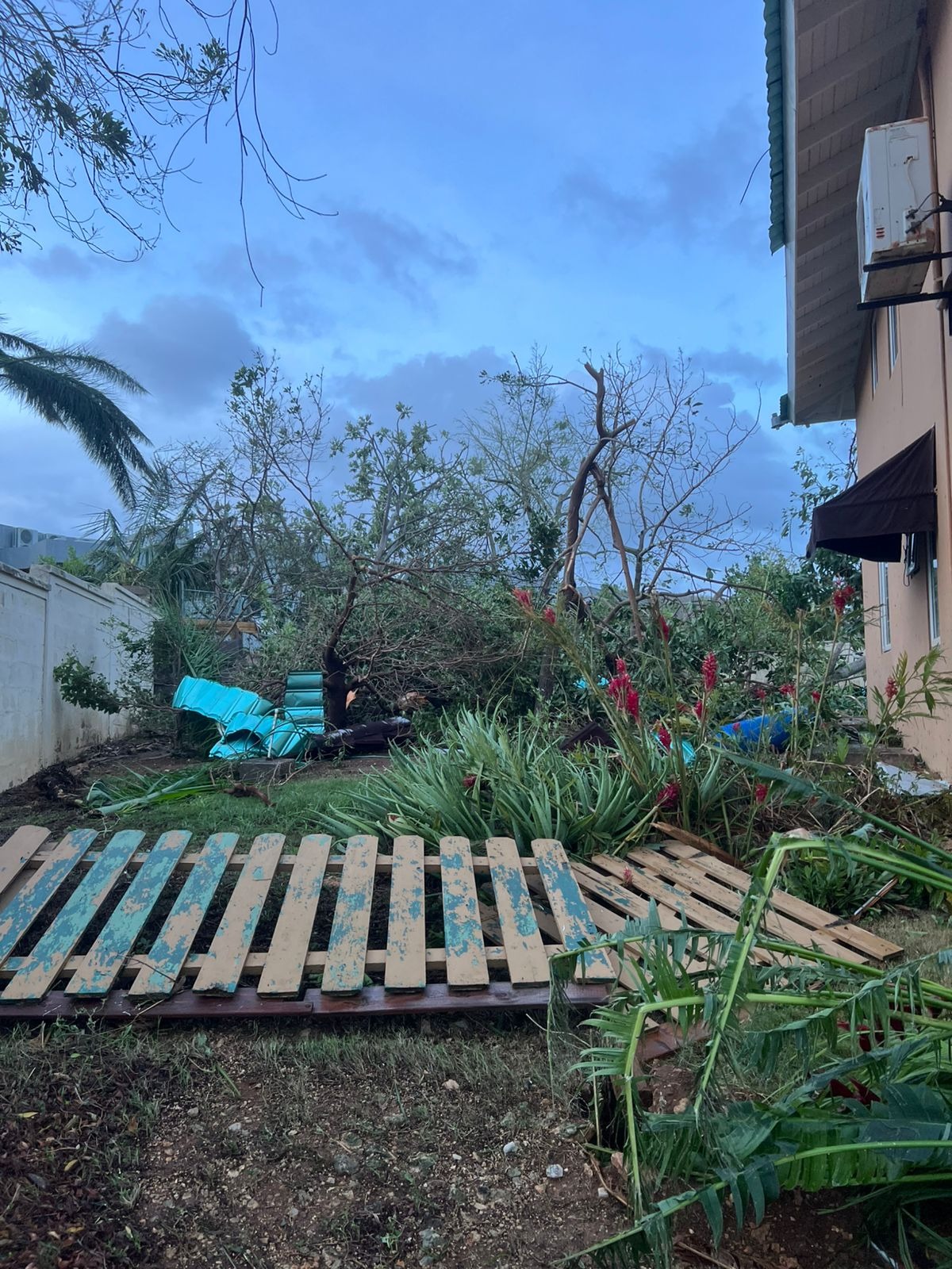 Roots of Resilience: Rebuilding Jamaican Lives campaign photo, 2 of 8
