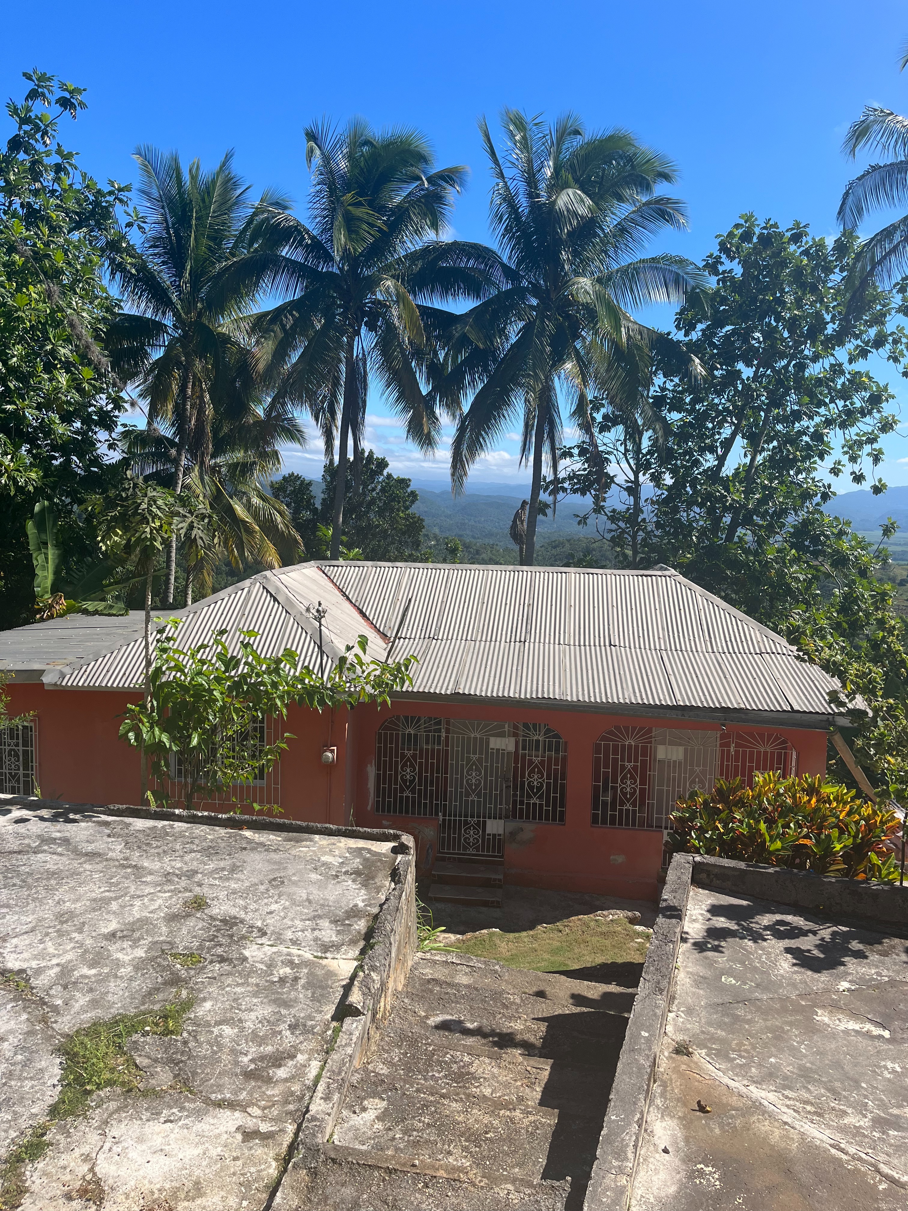 Roots of Resilience: Rebuilding Jamaican Lives campaign photo, 6 of 8