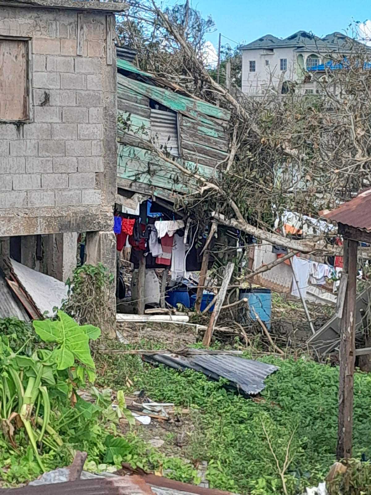 User-uploaded image 1