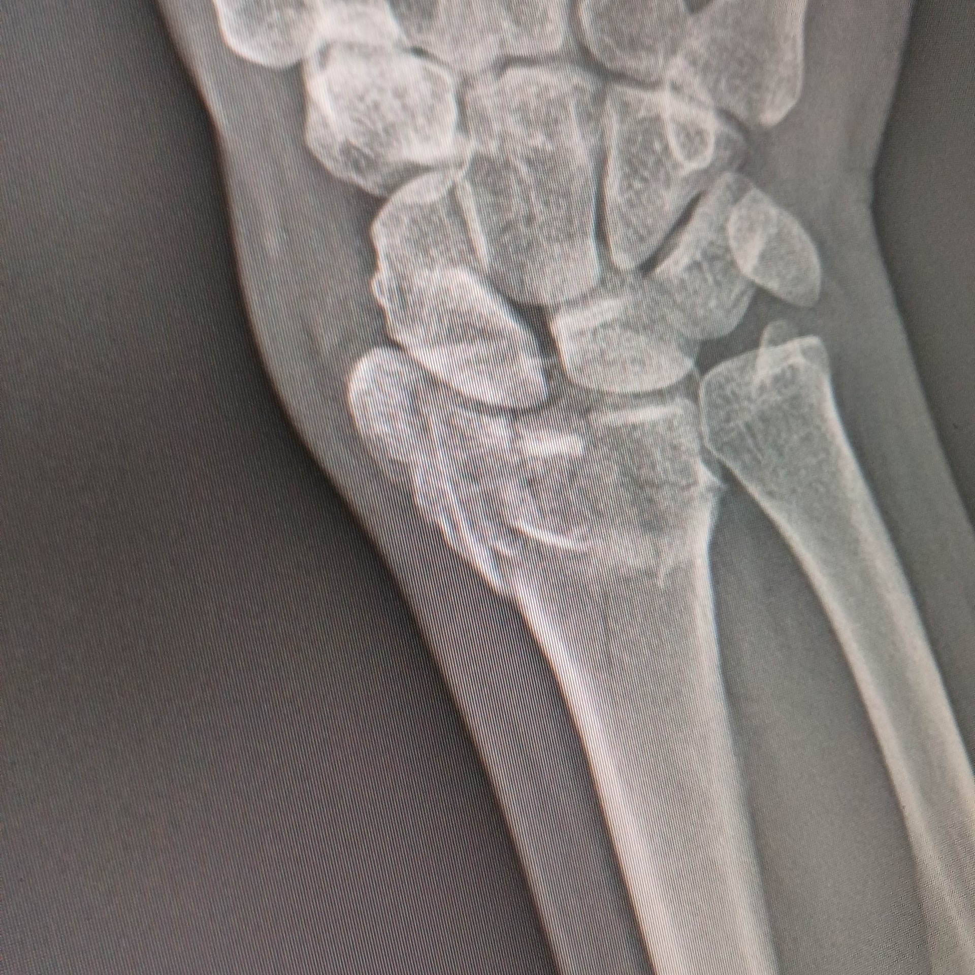 User-uploaded image 1