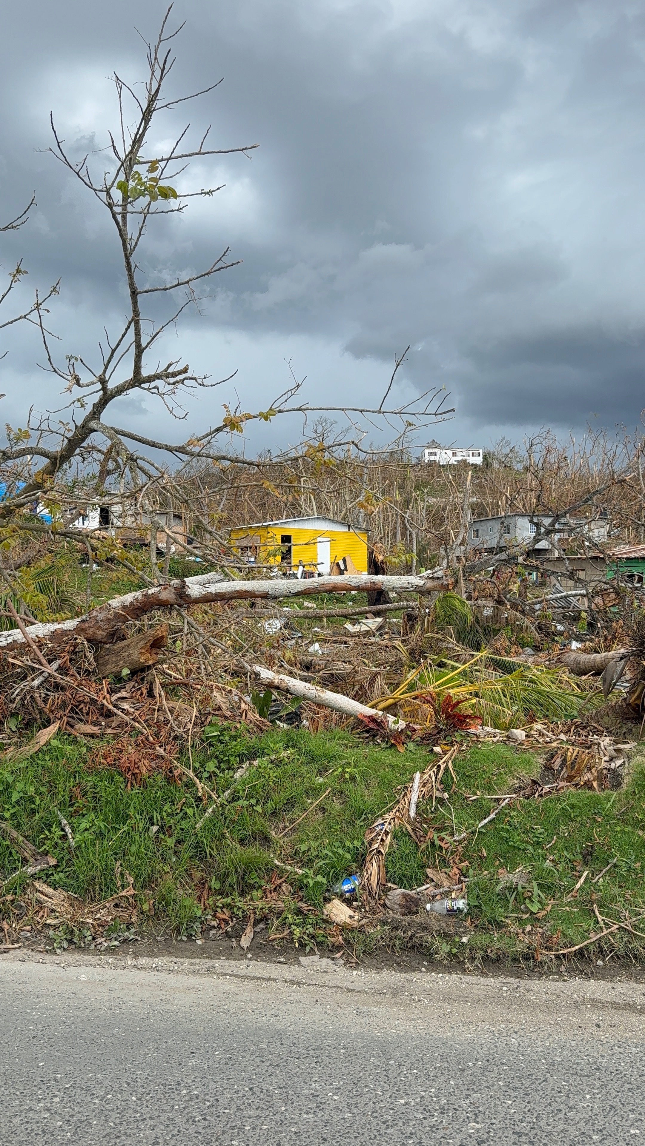 Build back Jamaica campaign photo, 4 of 8