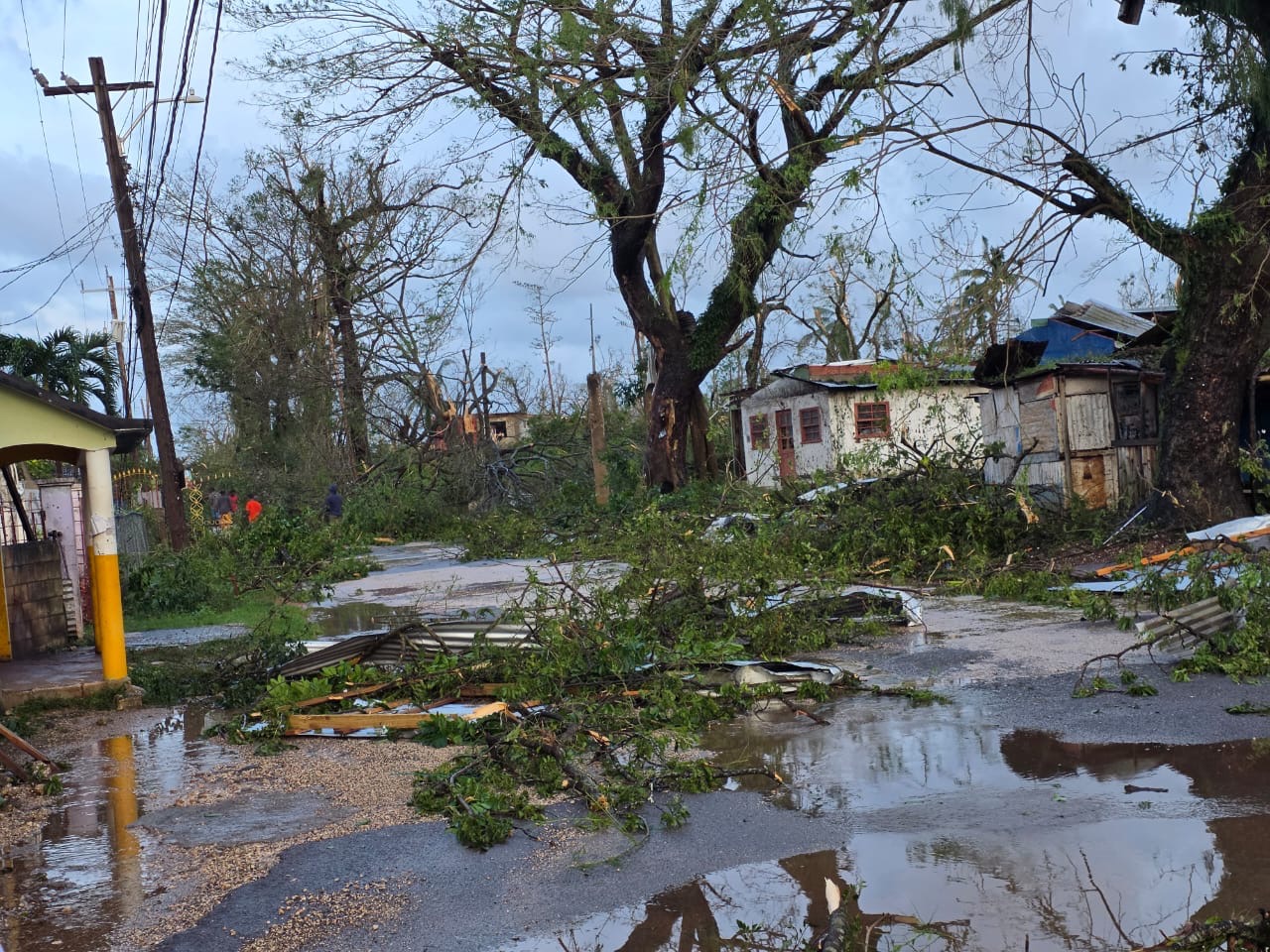 Rebuild in & help feed in Trelawny, Jamaica! campaign photo, 6 of 8