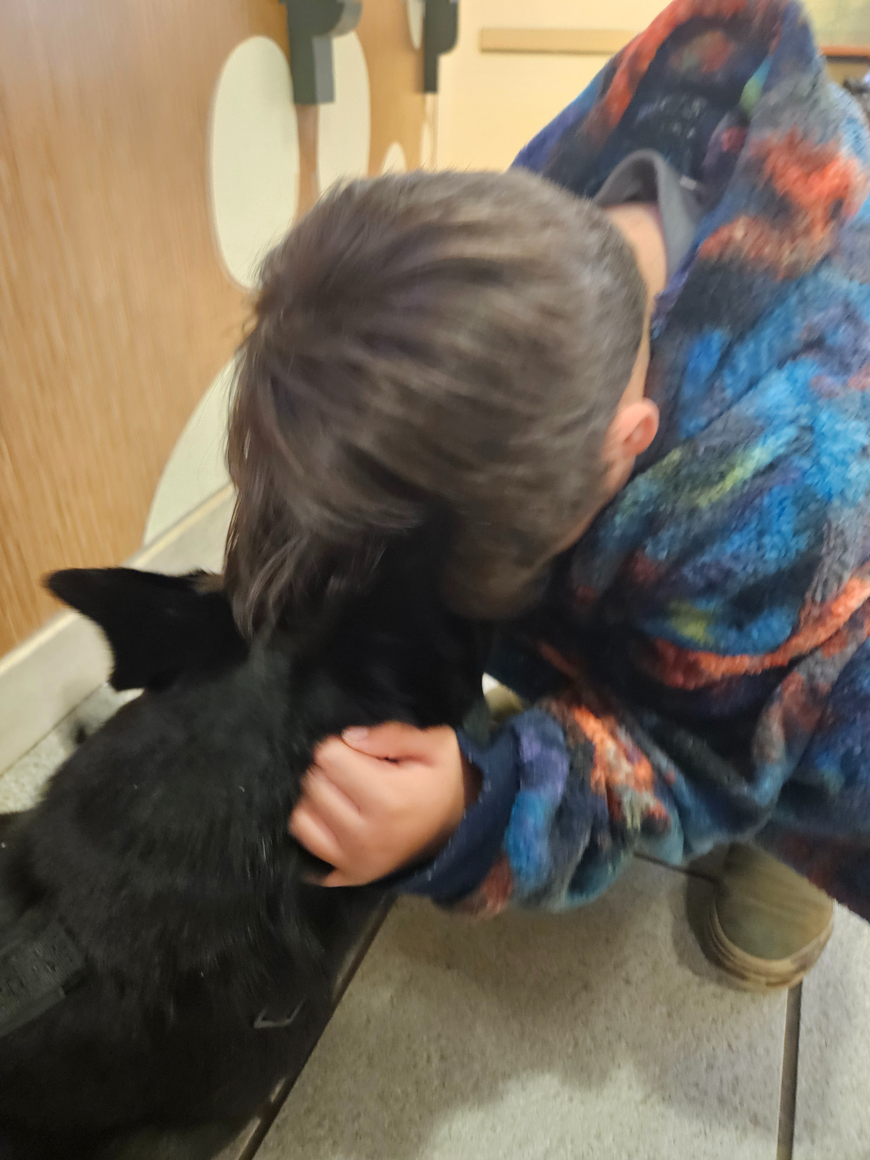 Donate to Amber's Fresh Start & Finding Dahlia a Safe Space campaign photo, 4 of 8