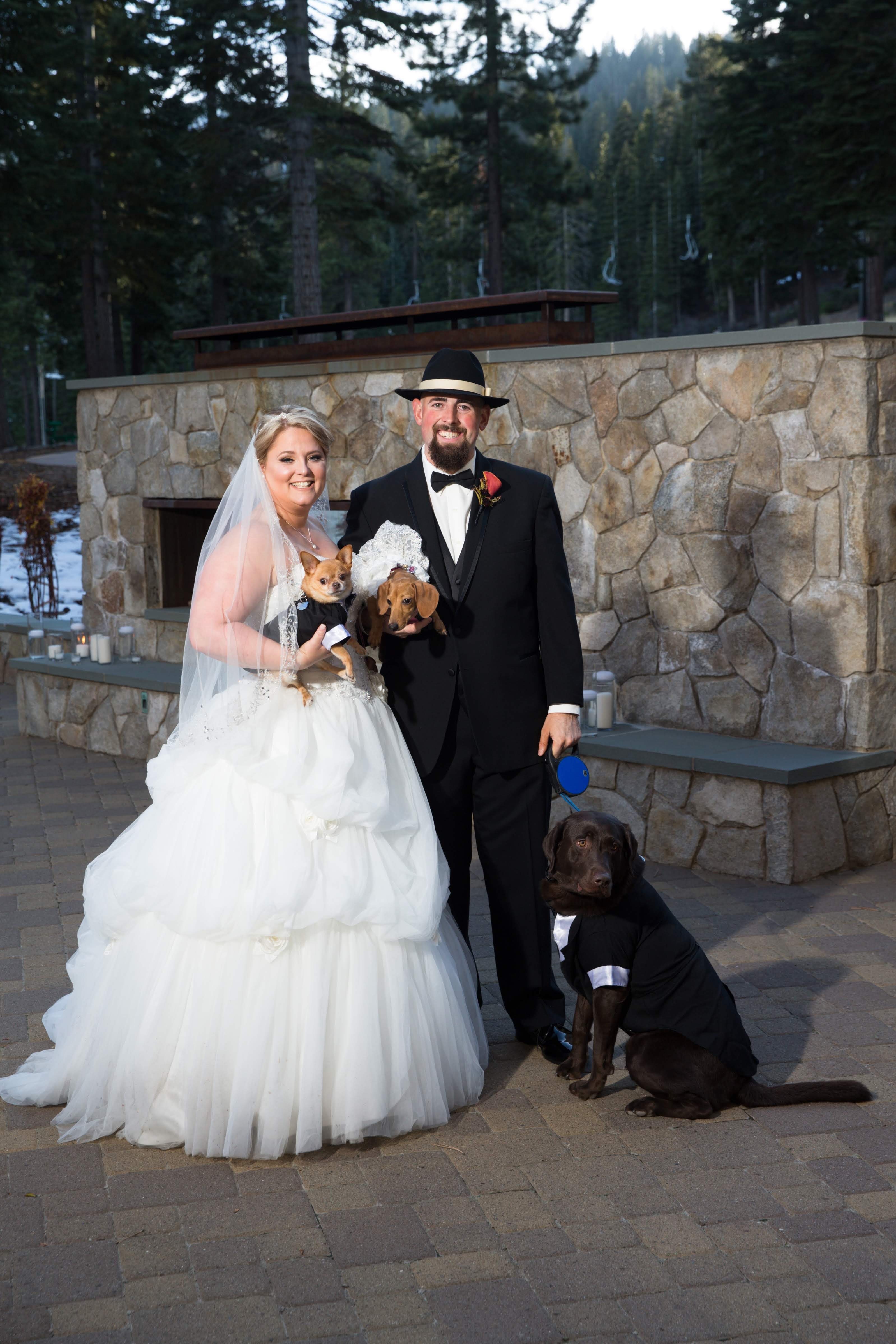 Help Rosco Breathe Again – Life-Saving Surgery Costs campaign photo, 7 of 8