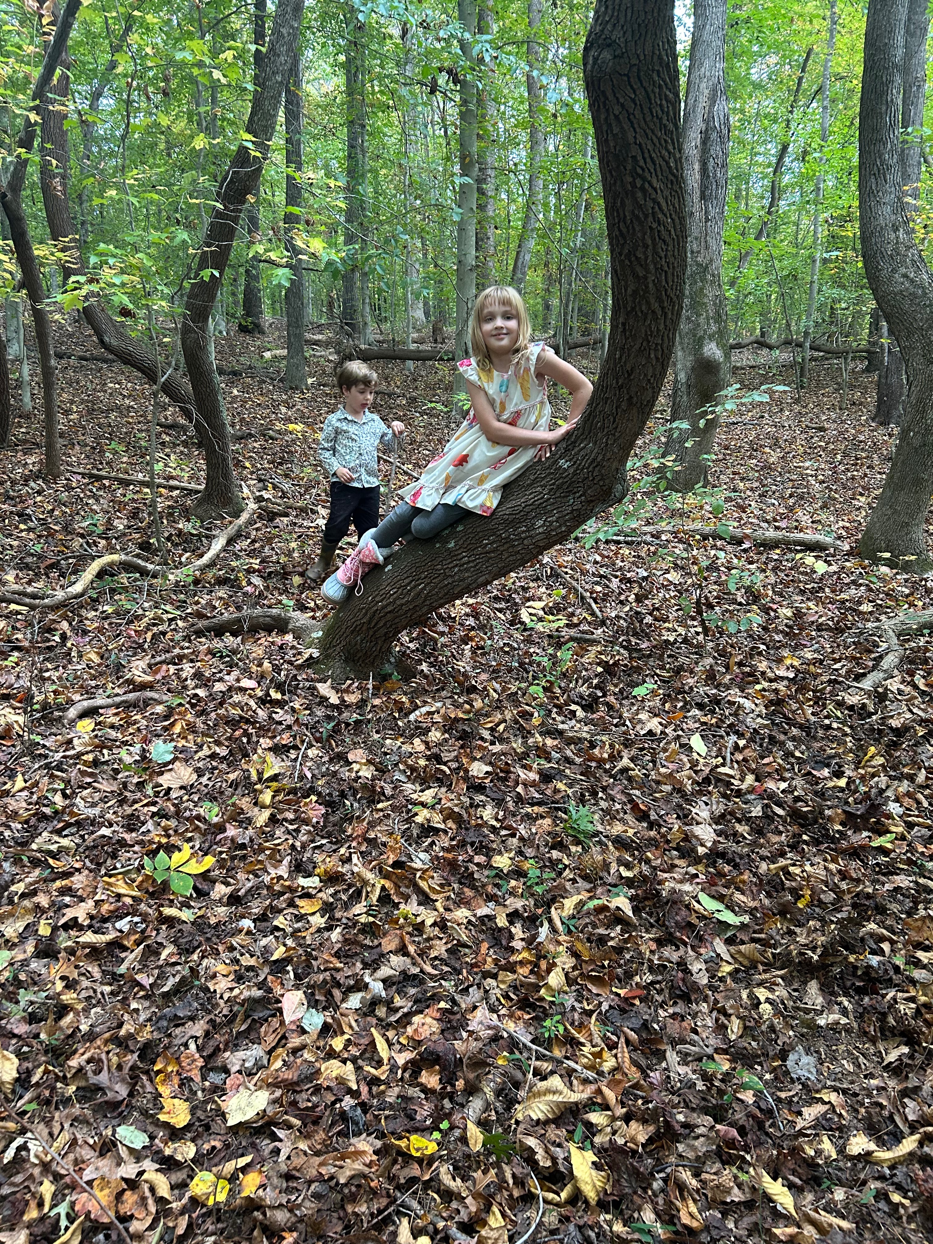 Support Karey's Grandchildren with a Service Dog campaign photo, 2 of 8