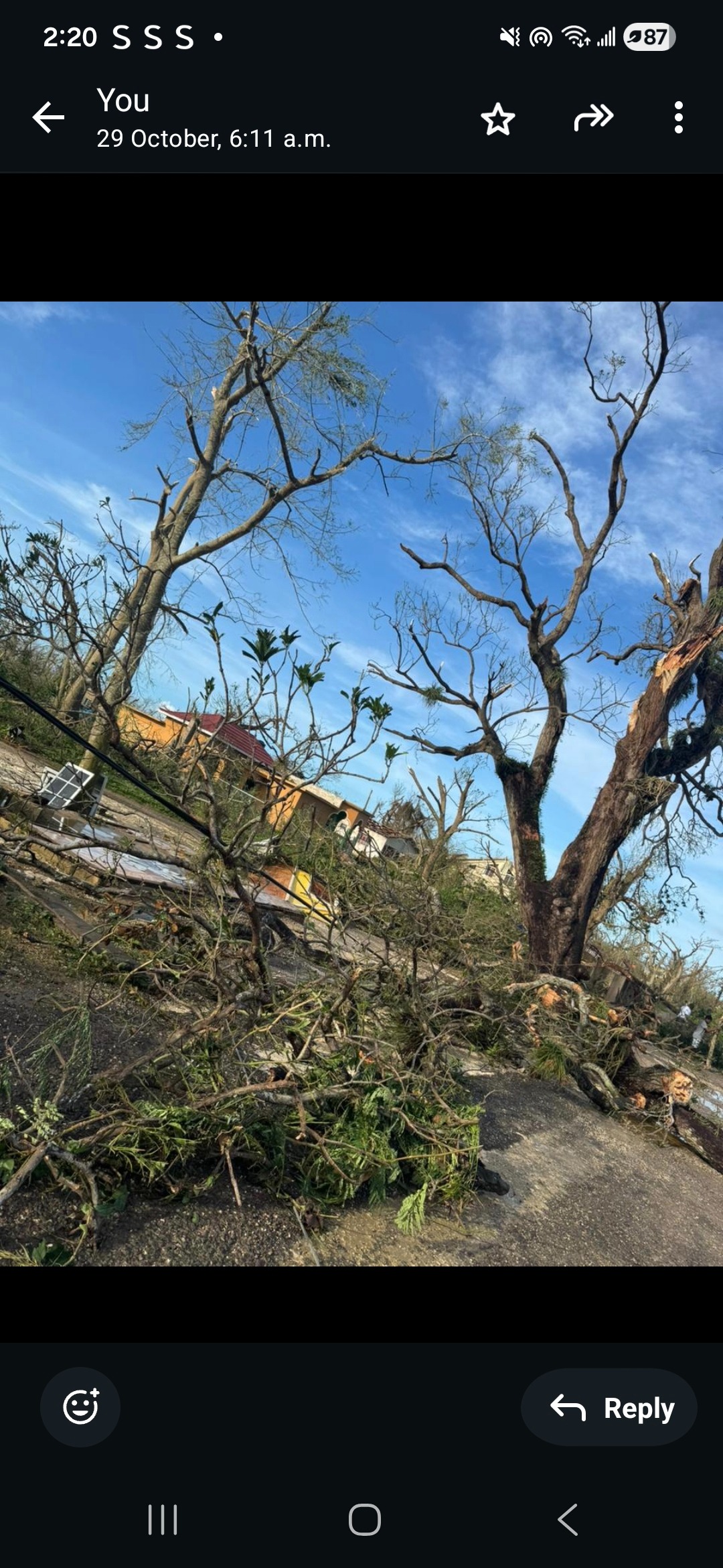 Help my Family and Community Recover after Hurricane Melissa campaign photo, 4 of 8