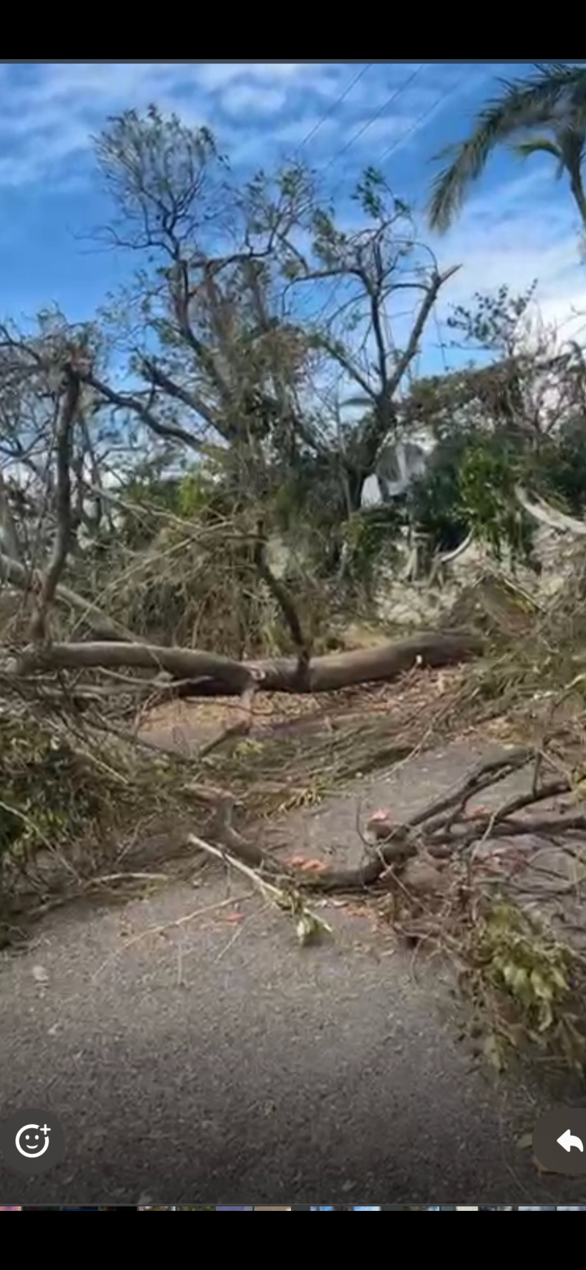 Help Sanjay & Inderia Rebuild After Hurricane campaign photo, 6 of 8