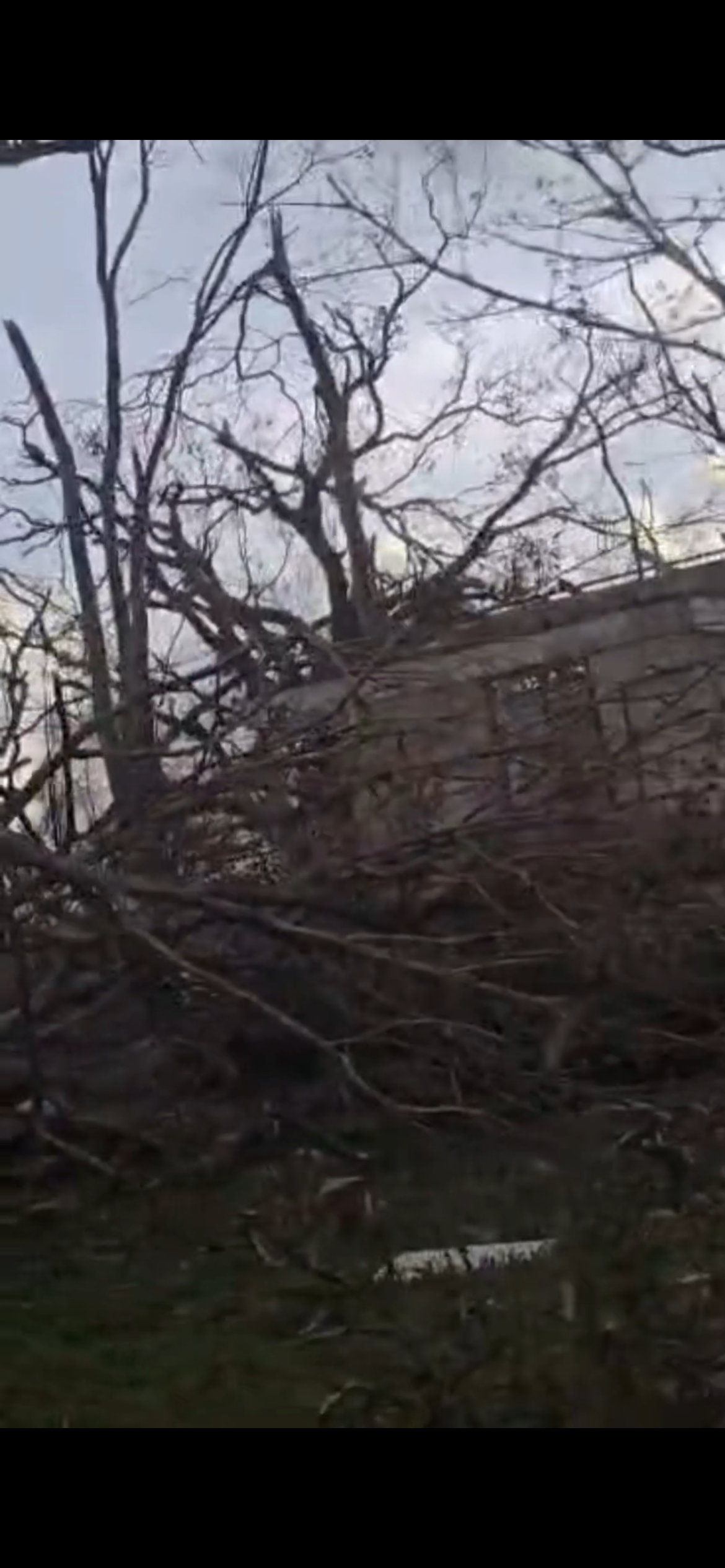 Help Vivia Rebuild after Hurricane Melissa campaign photo, 4 of 7