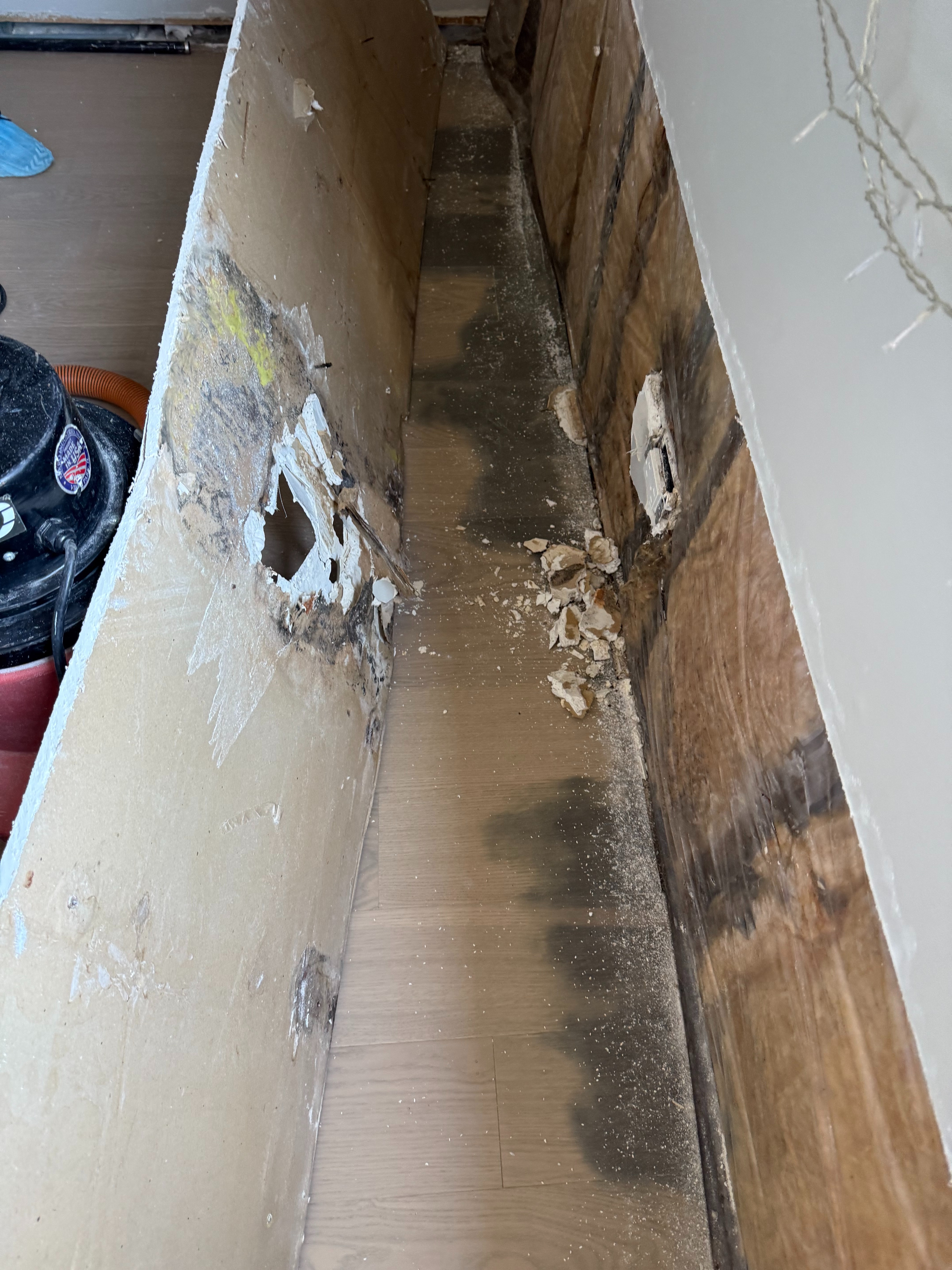 Support Nayoung Ha and Daughter After Mold Crisis campaign photo, 6 of 6