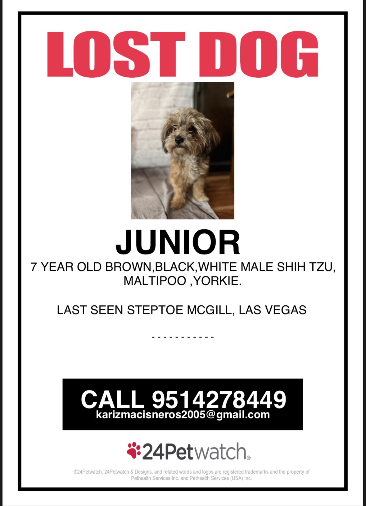 Urgent Care Needed for Junior's Recovery campaign photo, 6 of 7