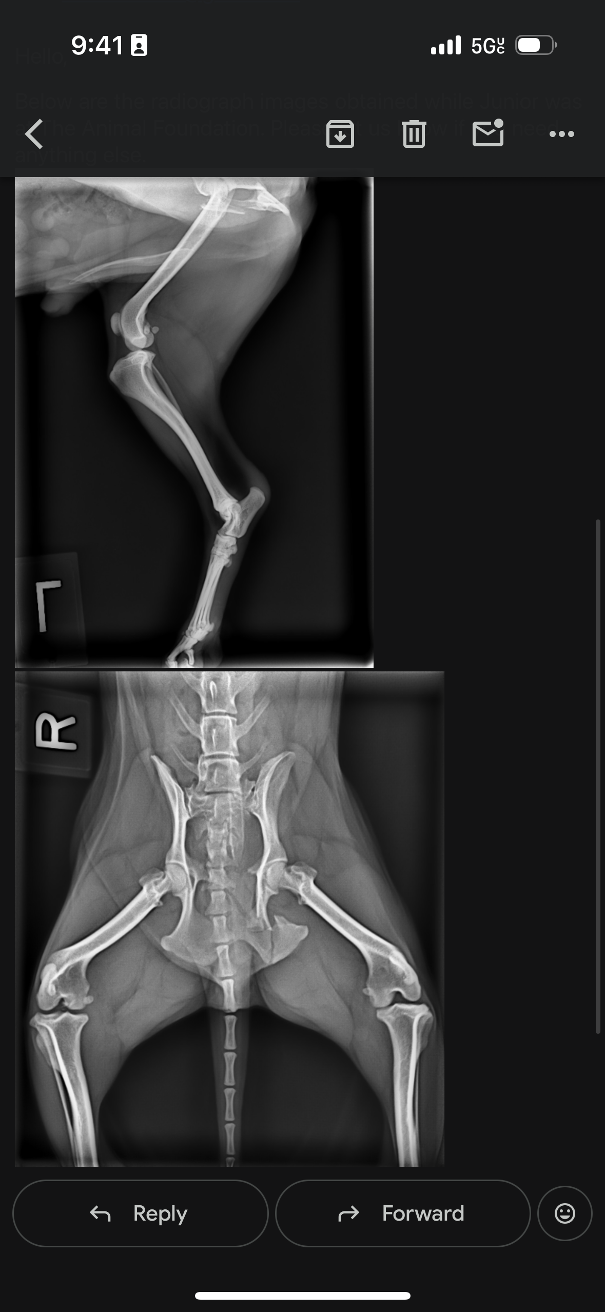 Urgent Care Needed for Junior's Recovery campaign photo, 4 of 7