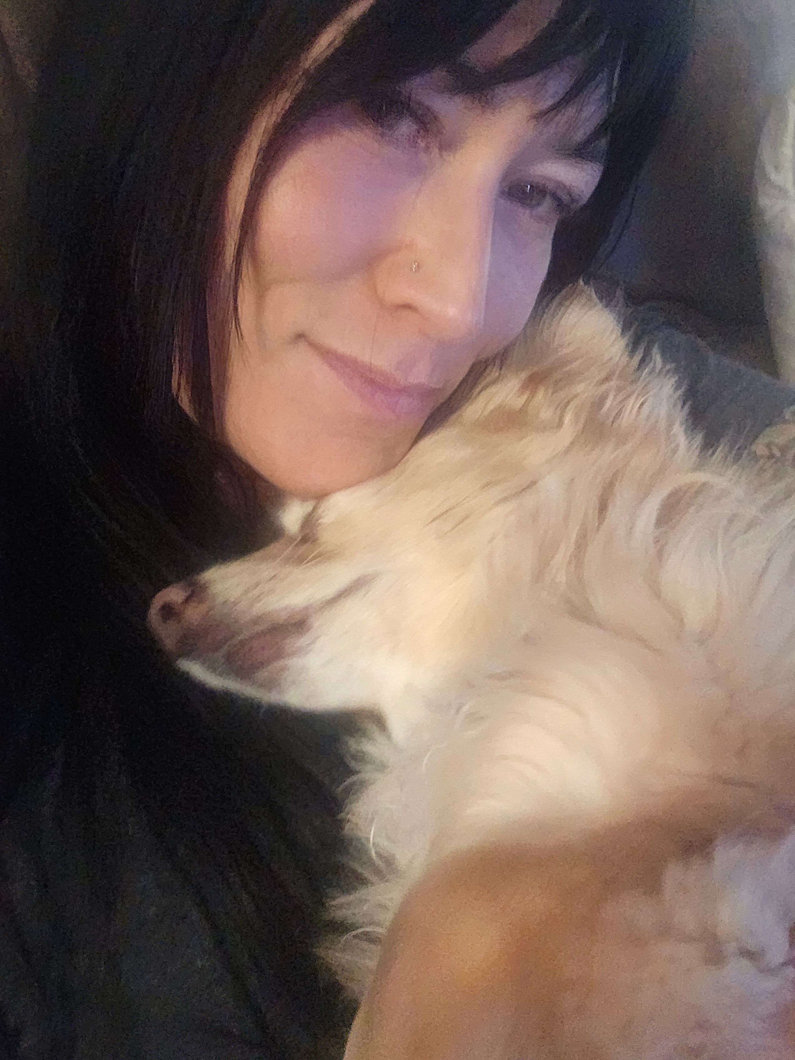 Help Us Save Our Fur Baby, Harley Rey campaign photo, 4 of 8