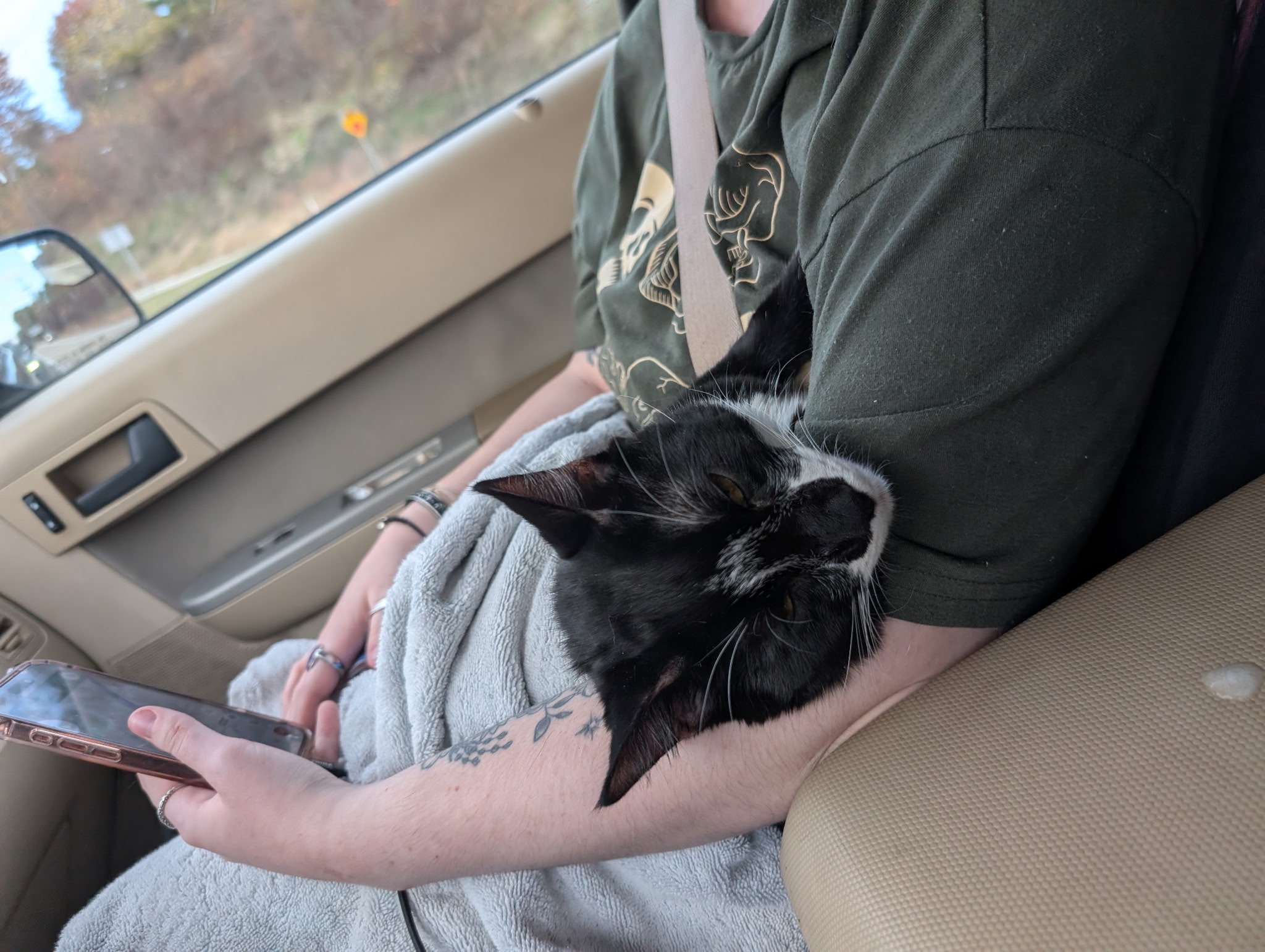 Support Our Kitten's Emergency Medical Needs campaign photo, 2 of 5