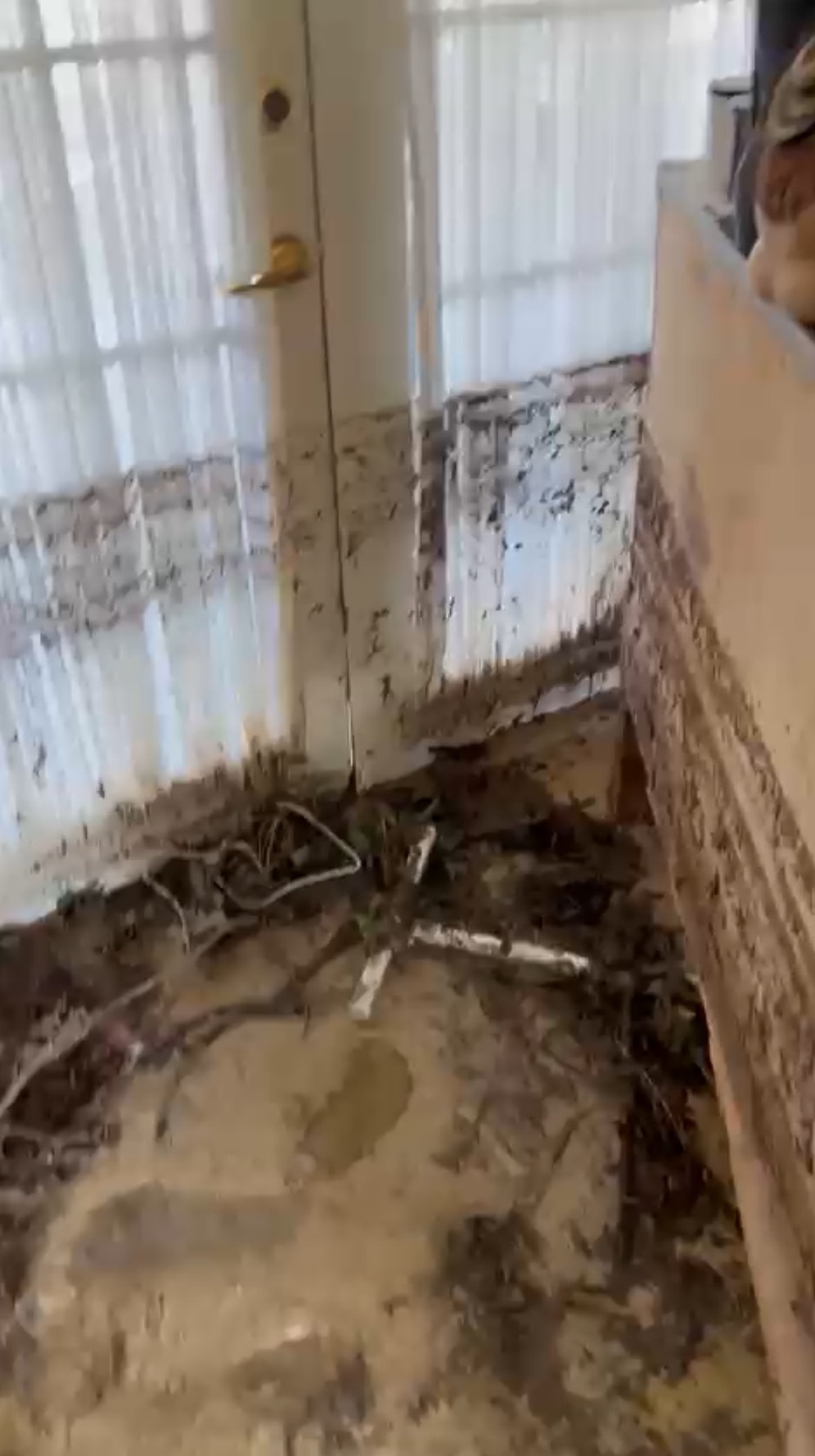 Help the Christies Rebuild After Hurricane Melissa campaign photo, 6 of 8