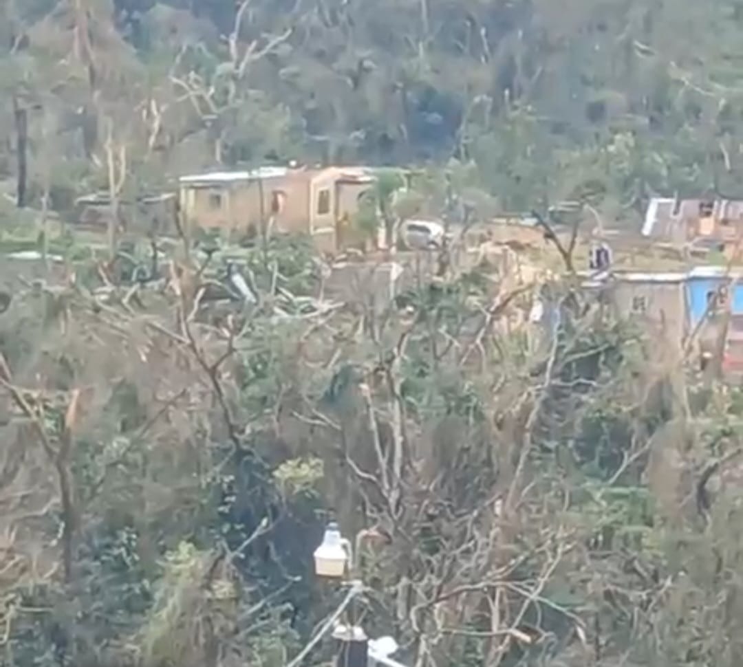 Support Damian Williams' Family Post-Hurricane campaign photo, 7 of 8