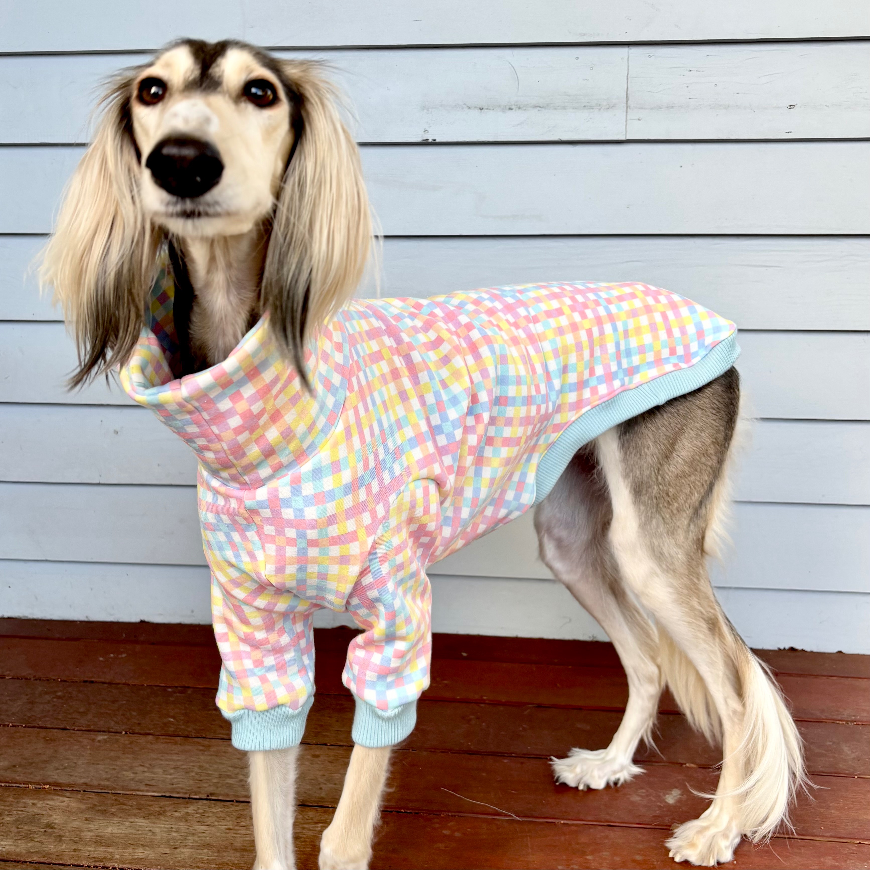 Mabel’s Medical Bills - help us get Mabel home campaign photo, 2 of 7