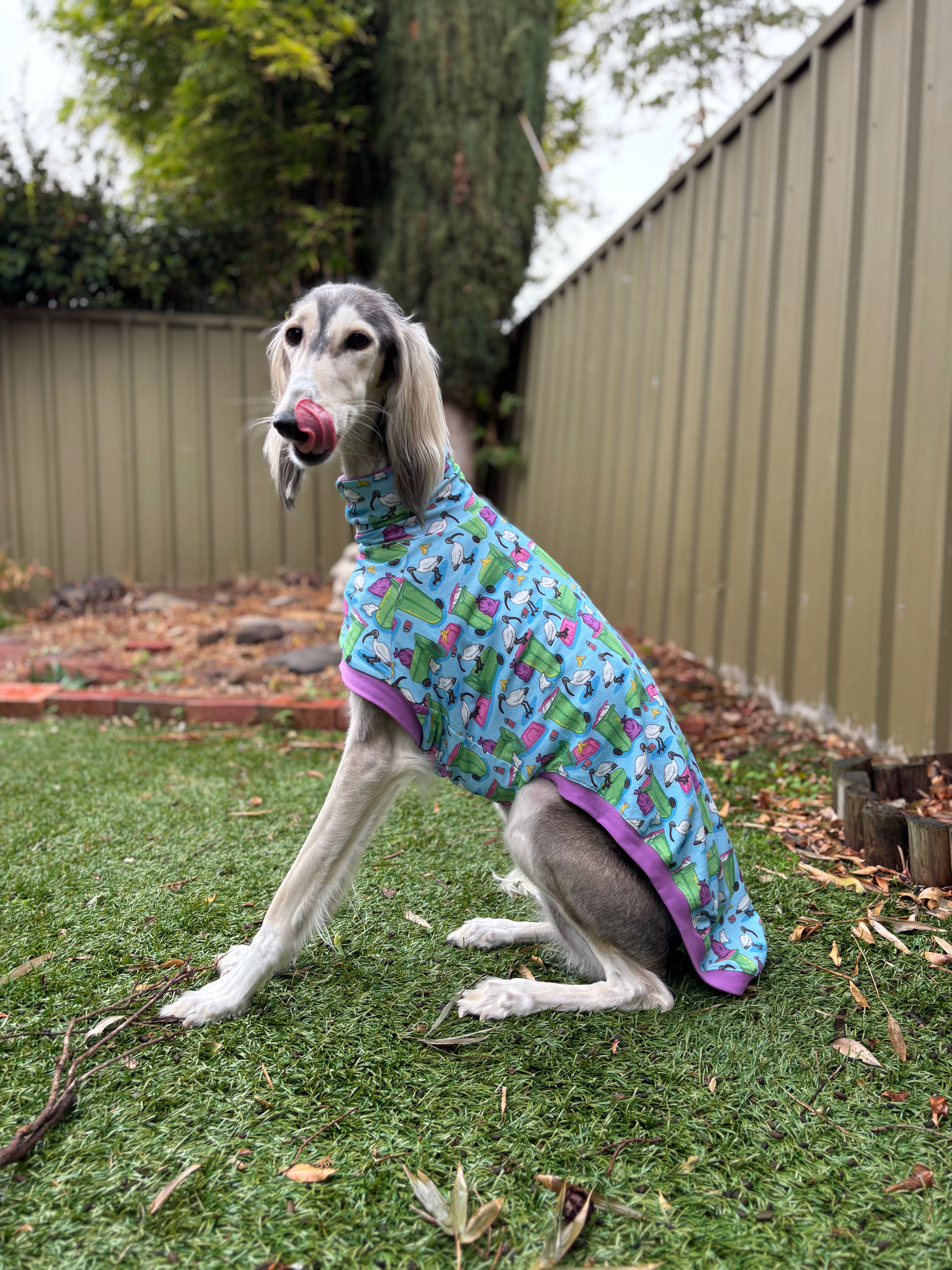 Mabel’s Medical Bills - help us get Mabel home campaign photo, 4 of 7