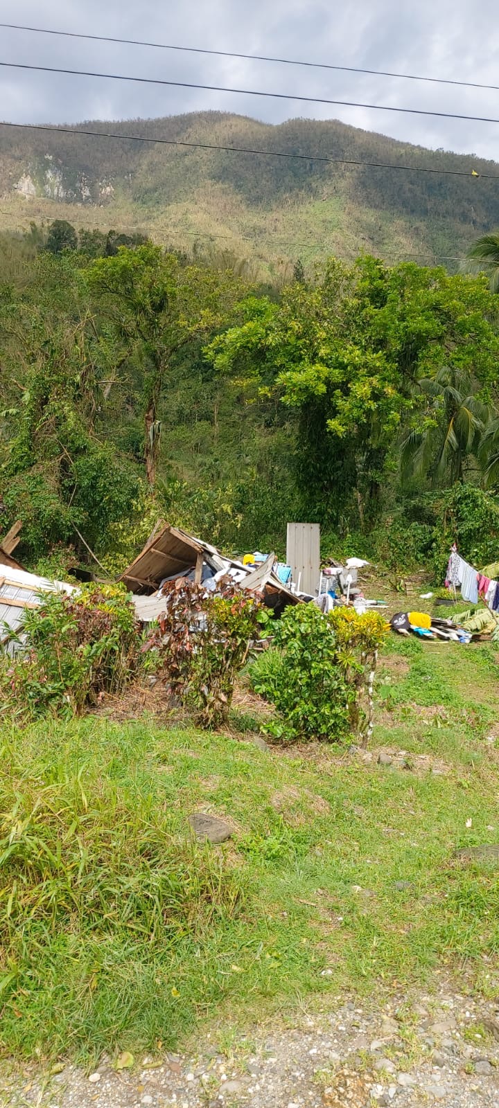 Replanting Hope for Jamaica's Farmers campaign photo, 6 of 8