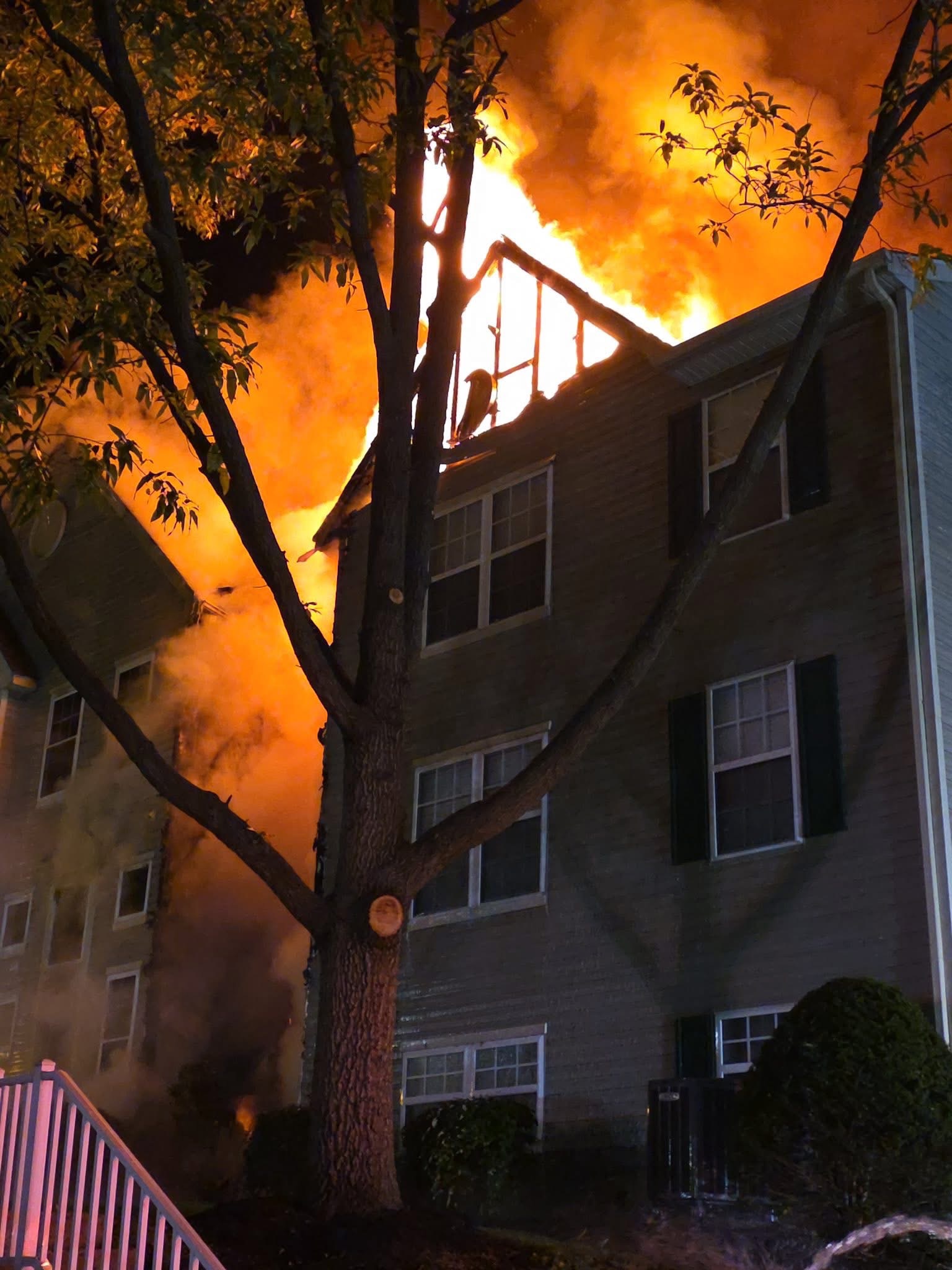 Help Melina and Mike Rebuild After Fire campaign photo, 2 of 4
