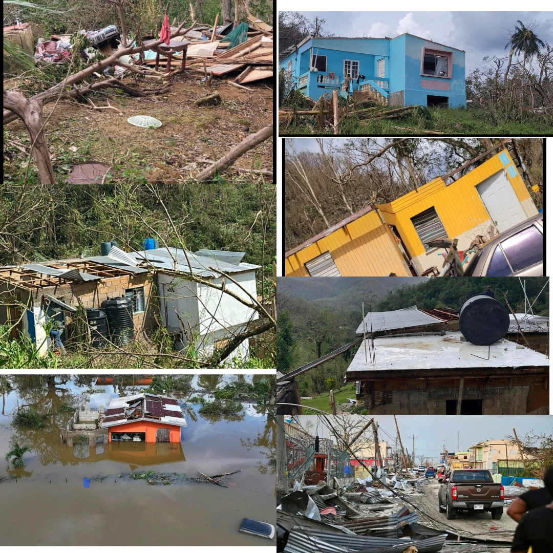 User-uploaded image 1