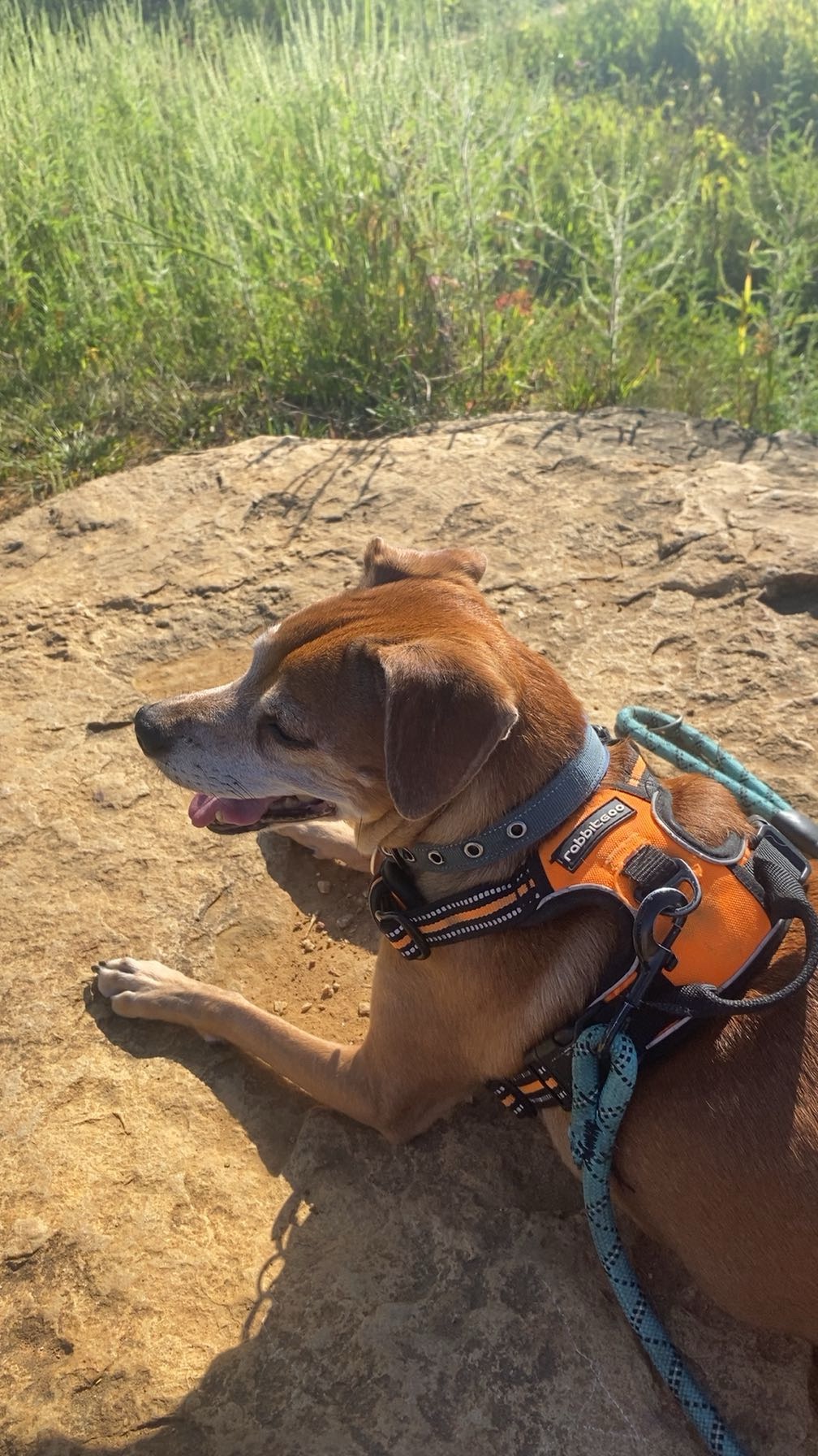 User-uploaded image 1