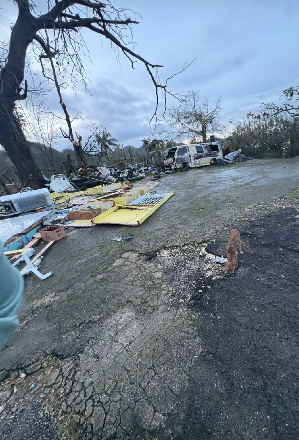 Help Families To Rebuild Their Homes -Hurricane campaign photo, 6 of 8