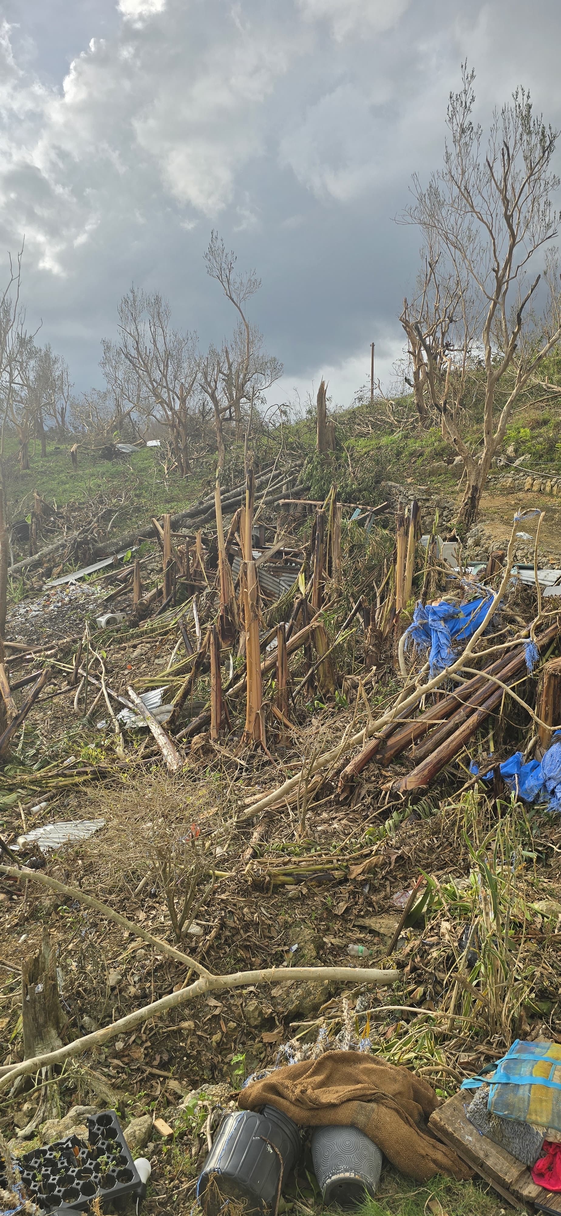 Support Shay's Family After Hurricane Devastation campaign photo, 4 of 7