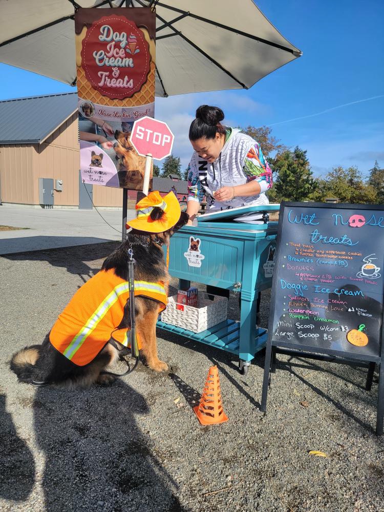 Help me recover and keep Wet Nose Treats alive! campaign photo, 6 of 7