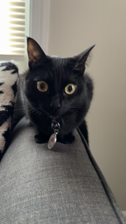 Help Marci Get Life-Saving Surgery campaign photo, 6 of 6