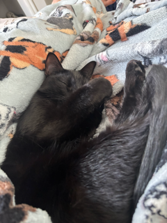 Help Marci Get Life-Saving Surgery campaign photo, 5 of 6