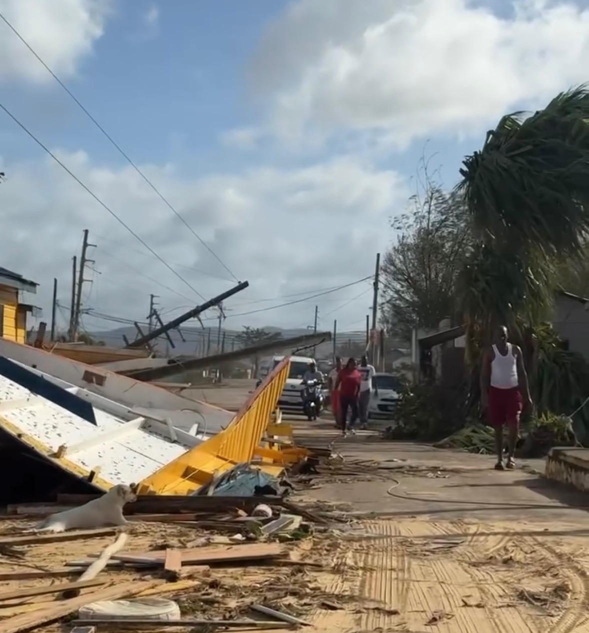 Urgent Relief for Our Family in Jamaica - Hurricane Melissa campaign photo, 4 of 5