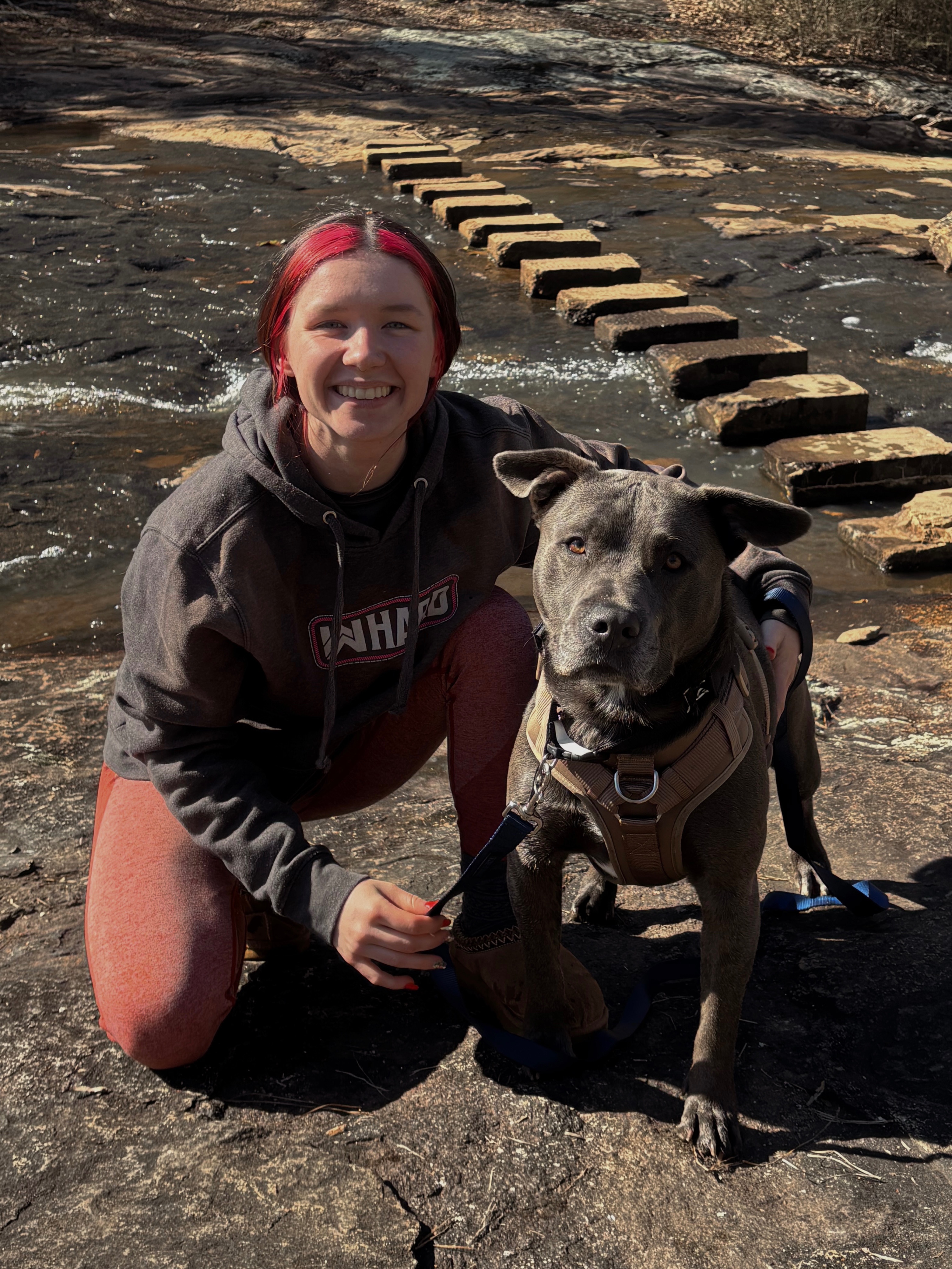 Help Bo Heal: Support His Surgery campaign photo, 5 of 6