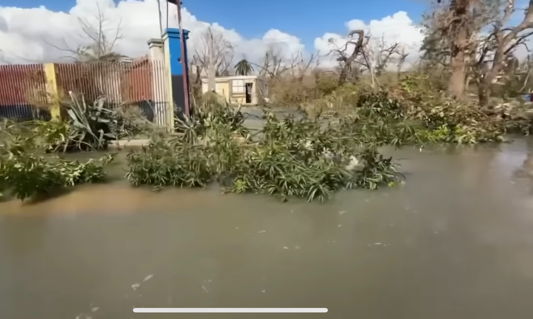 Support Jamaica's Recovery from Hurricane Melissa campaign photo, 2 of 8